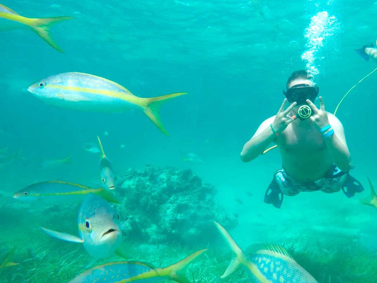 Power Diving & Snorkeling in Punta Cana image 1
