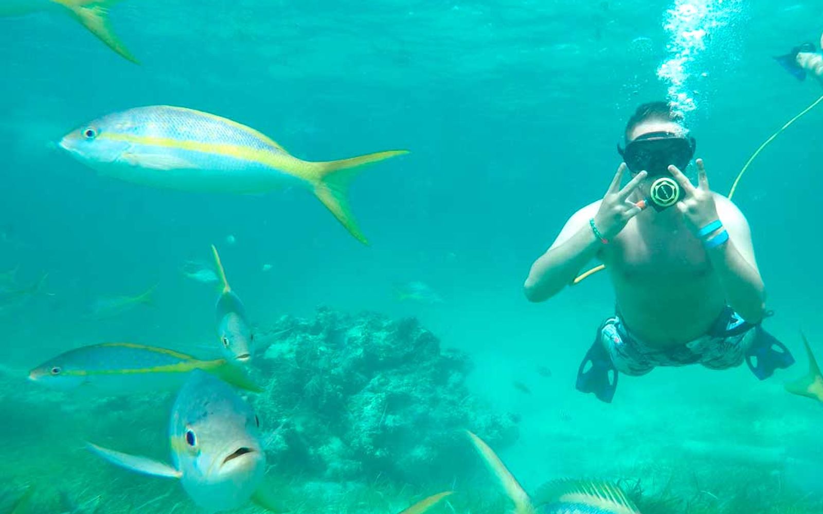 Power Diving & Snorkeling in Punta Cana image 1