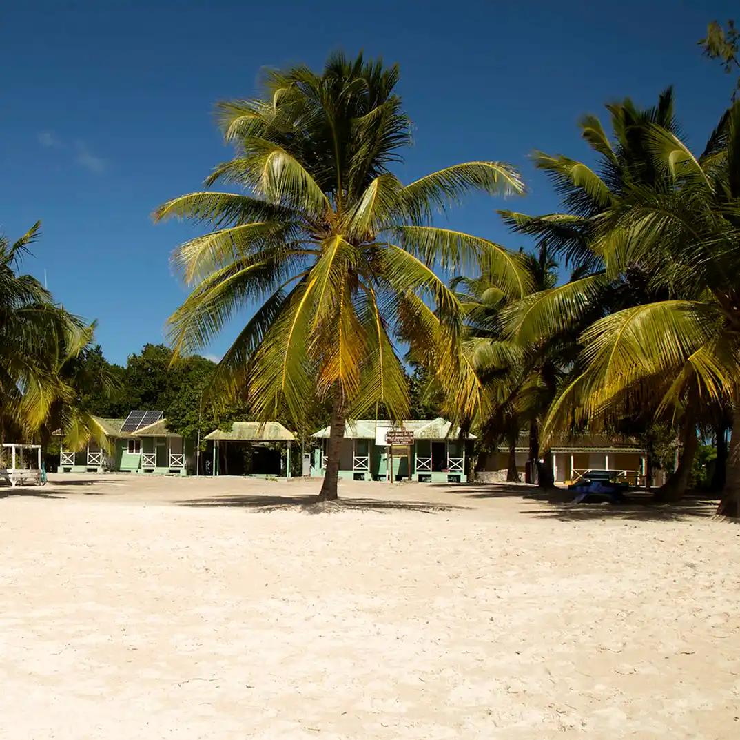 Île Saona VIP : Une escapade tropicale mémorable — 5