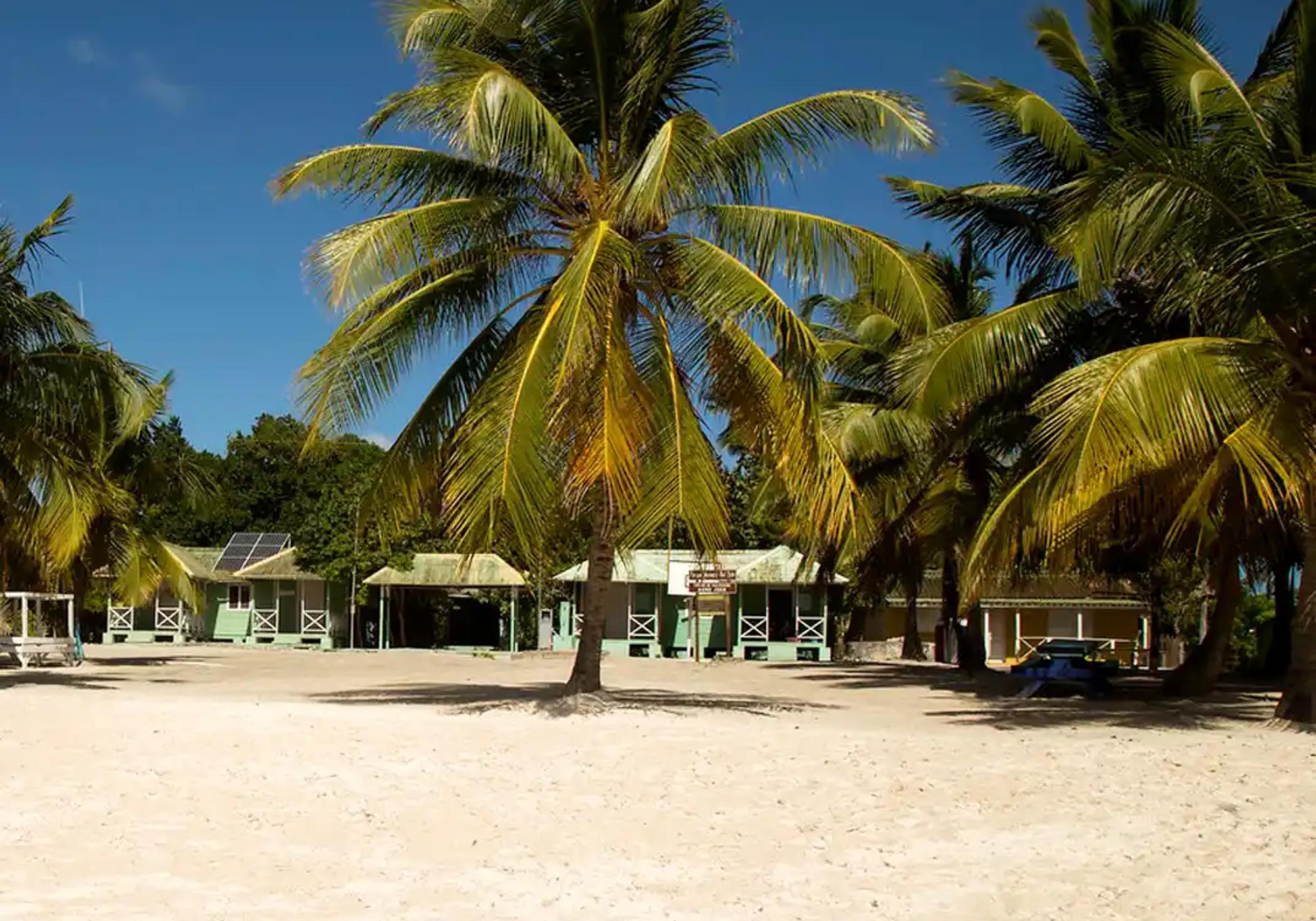 Saona Island VIP: A Tropical Escape to Remember gallery 1