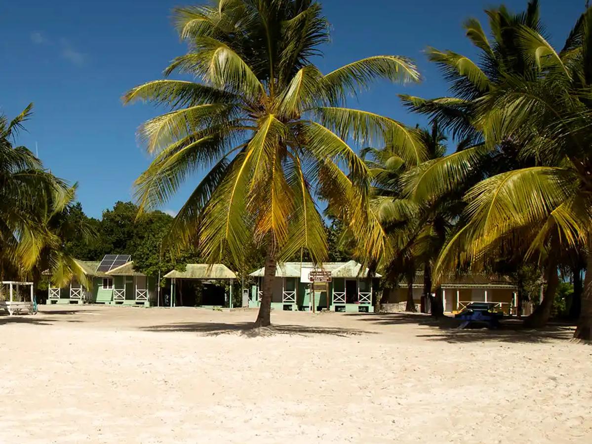 Saona Island VIP: A Tropical Escape to Remember image 1