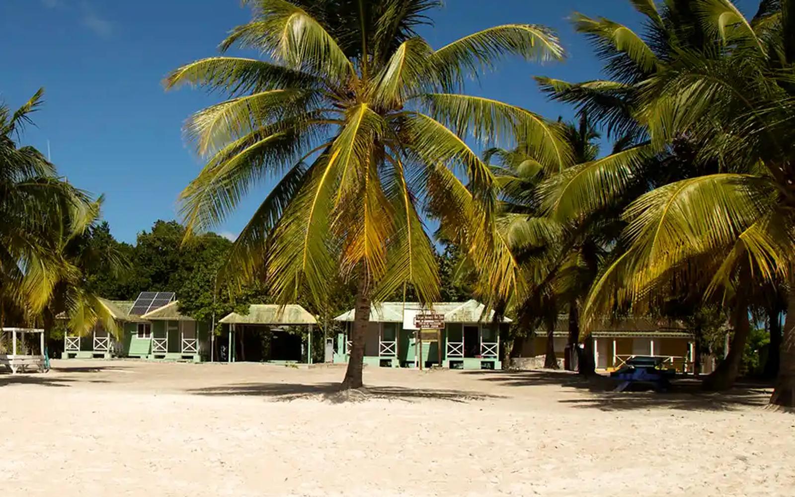 Saona Island VIP: A Tropical Escape to Remember image 1