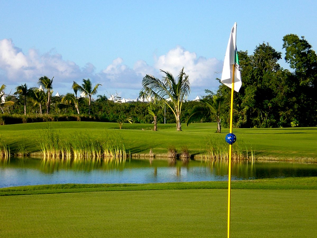 Iberostar Golf Club Bávaro  image 3