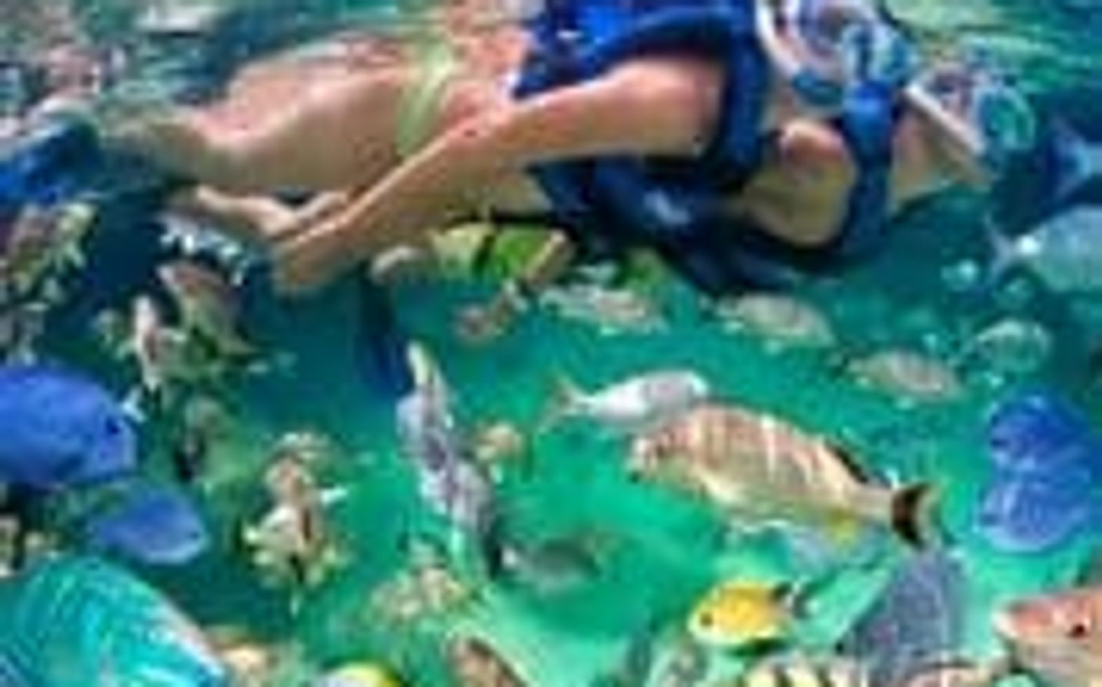 Private Catamaran Tour Along Bavaro Coast image 2