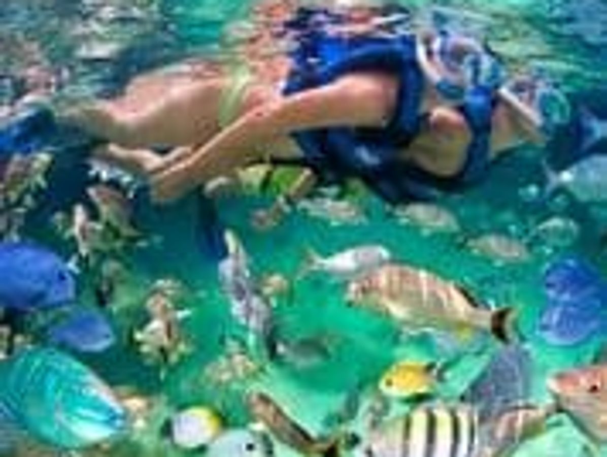 Private Catamaran Tour Along Bavaro Coast image 2