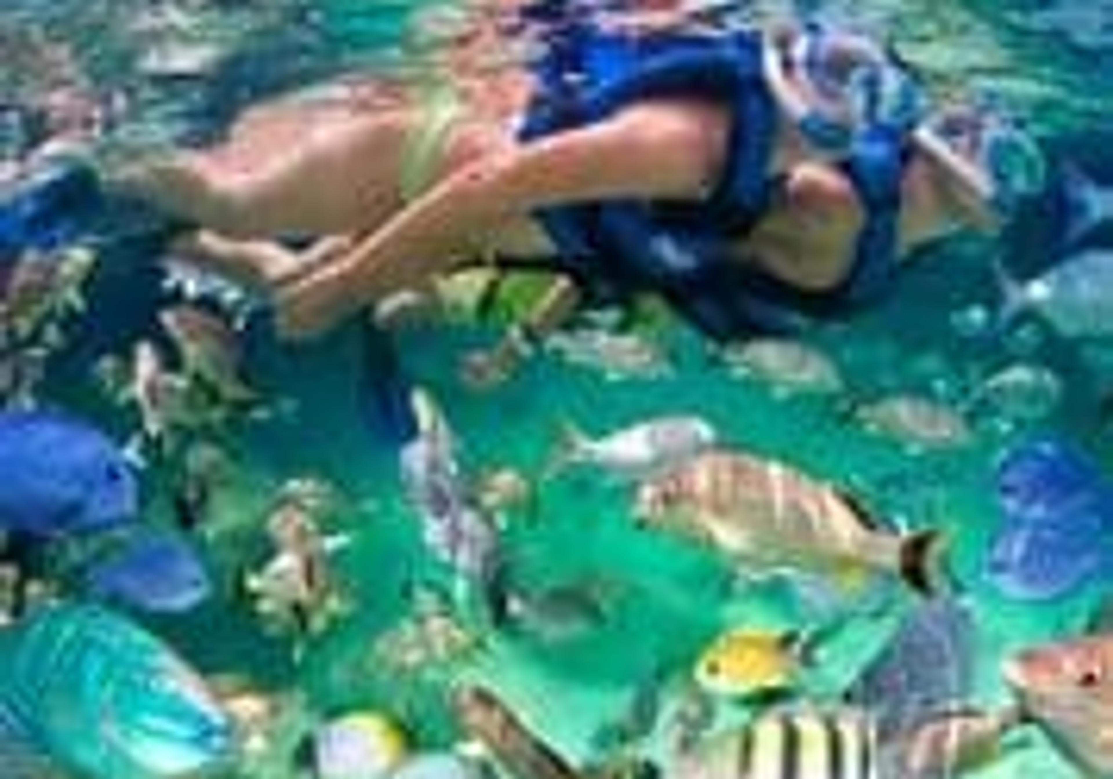 VIP Brunch Private Boat Tour Punta Cana — 4