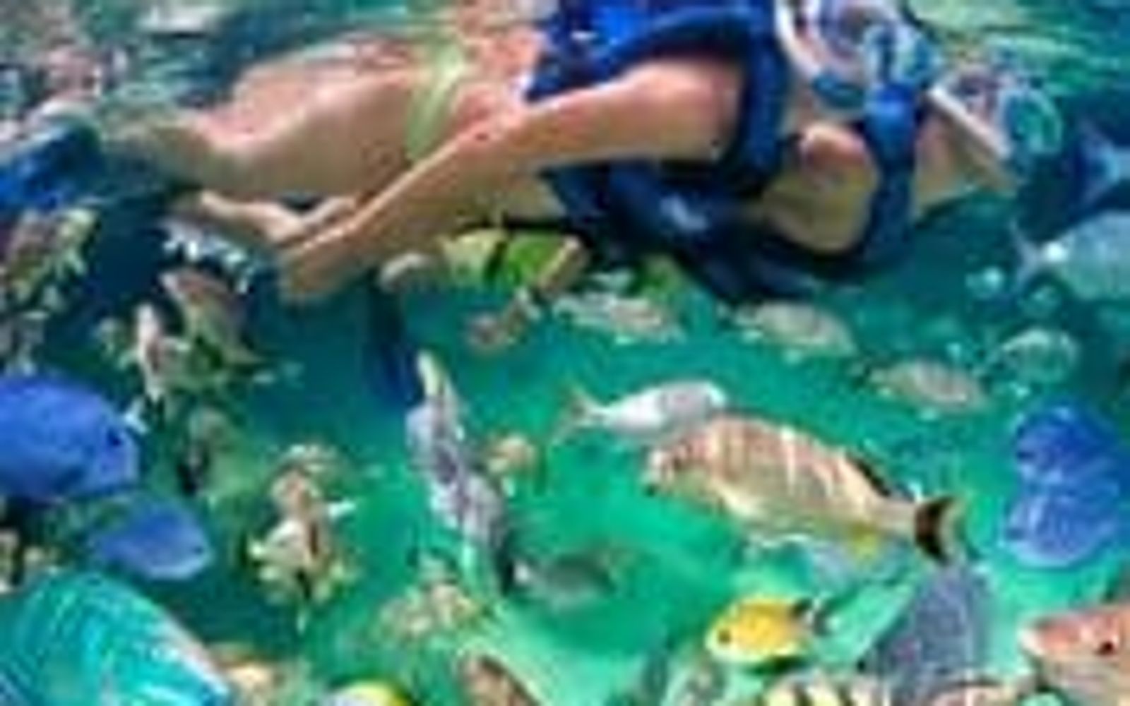 Private Catamaran Tour Along Bavaro Coast image 2