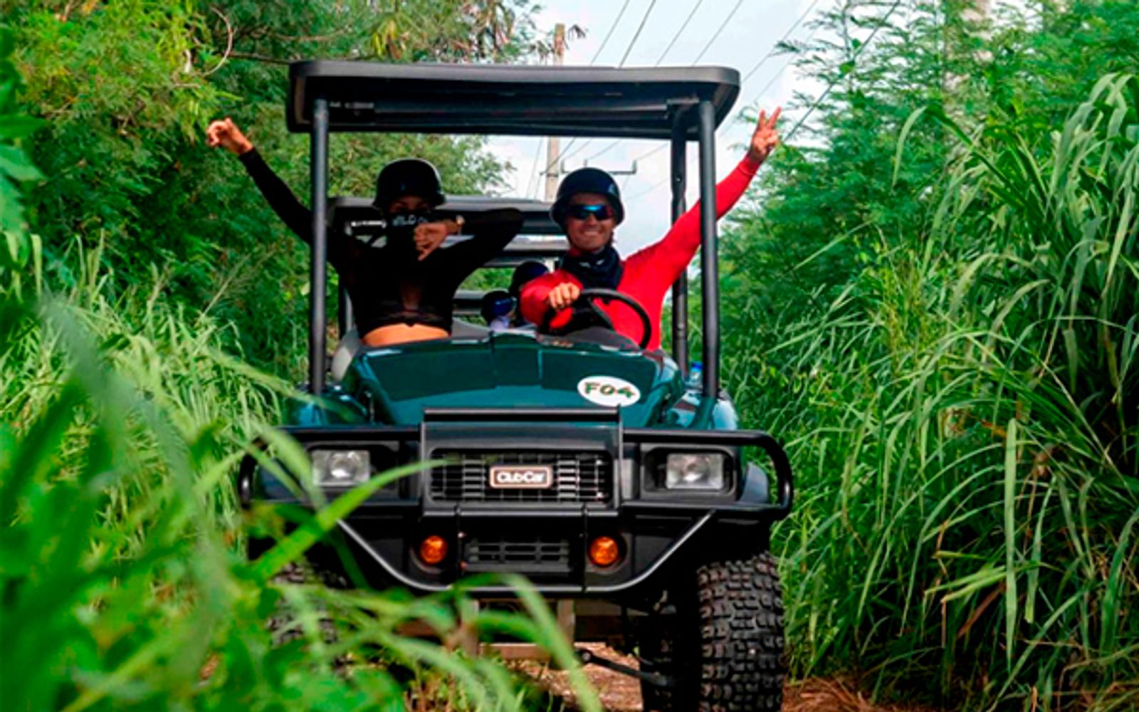 Art and Forest Way Combo Tour image 2