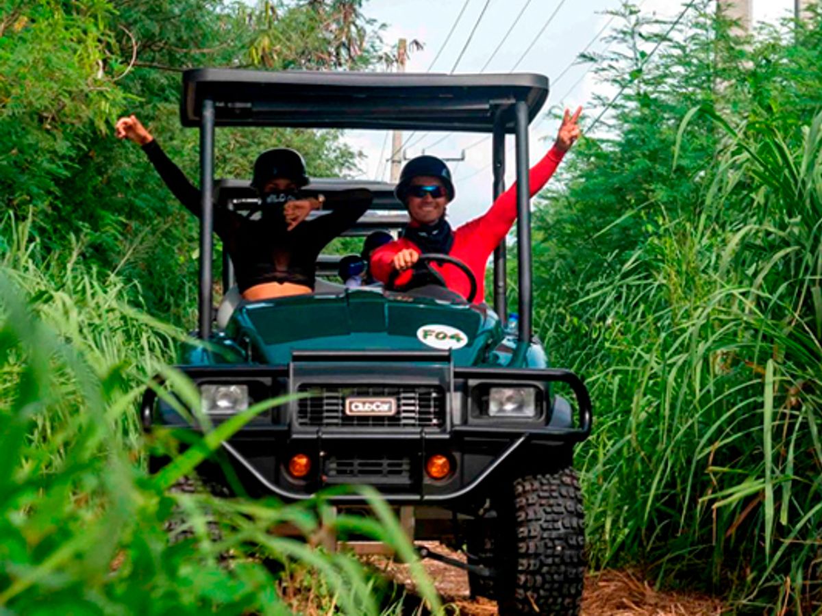 Art and Forest Way Combo Tour image 2