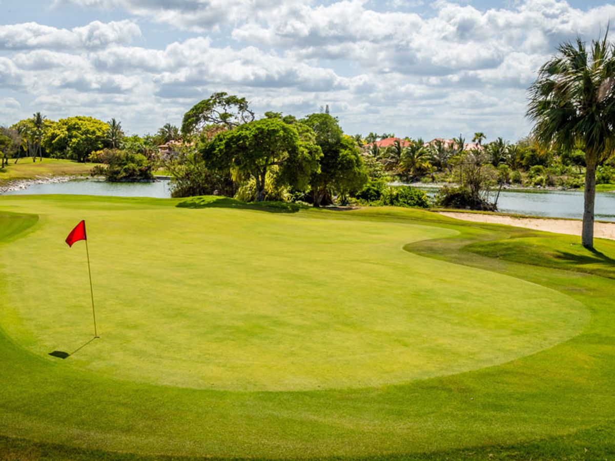 Cocotal Golf & Country Club image 3