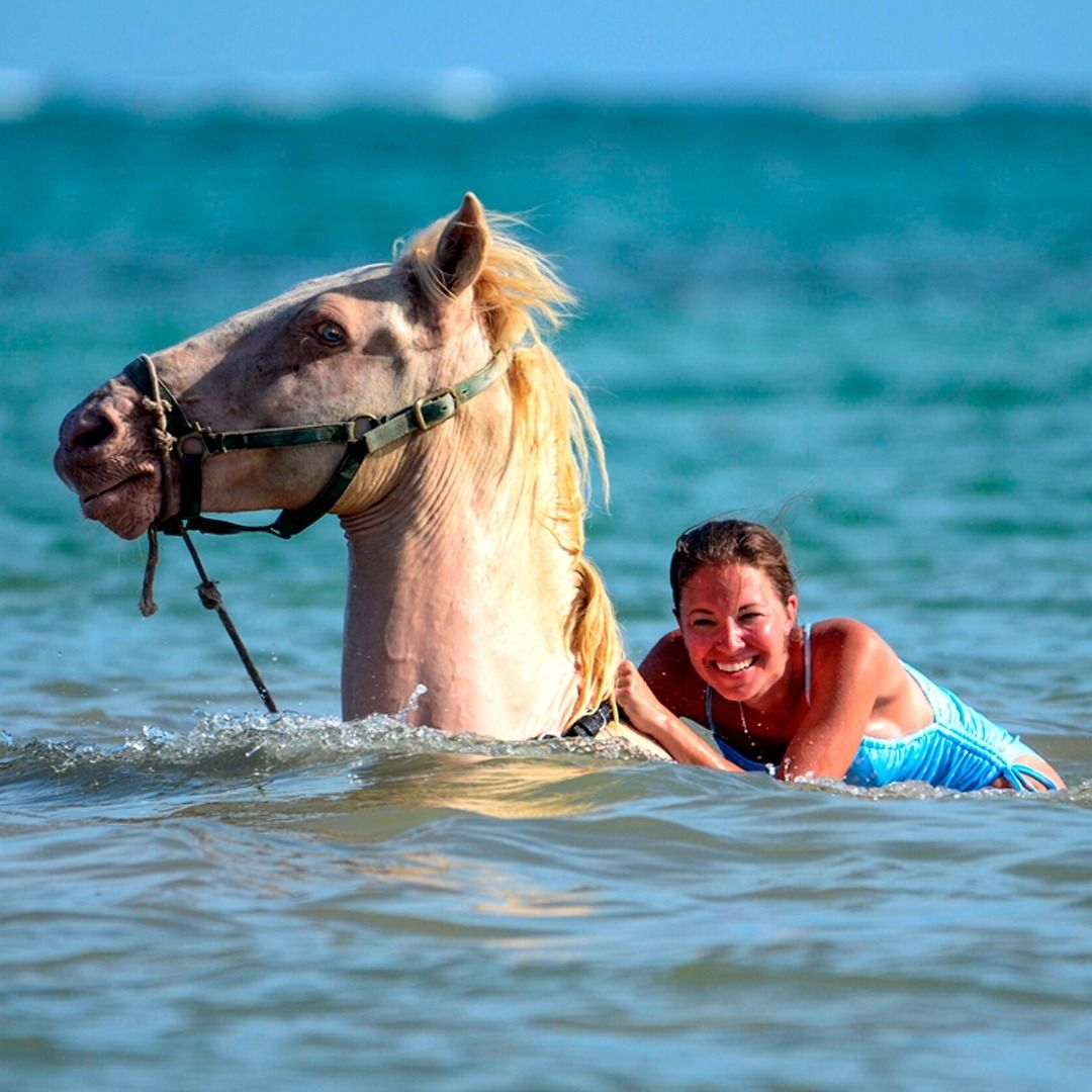 Swim With Horses in Punta Cana — 1