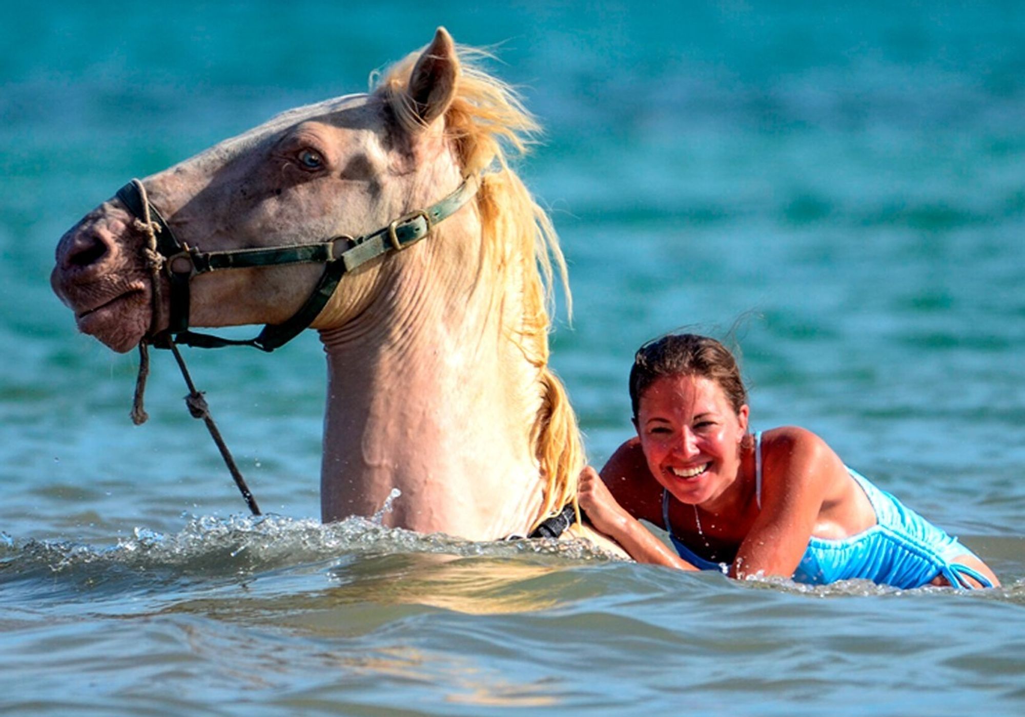 Swim With Horses in Punta Cana gallery 1