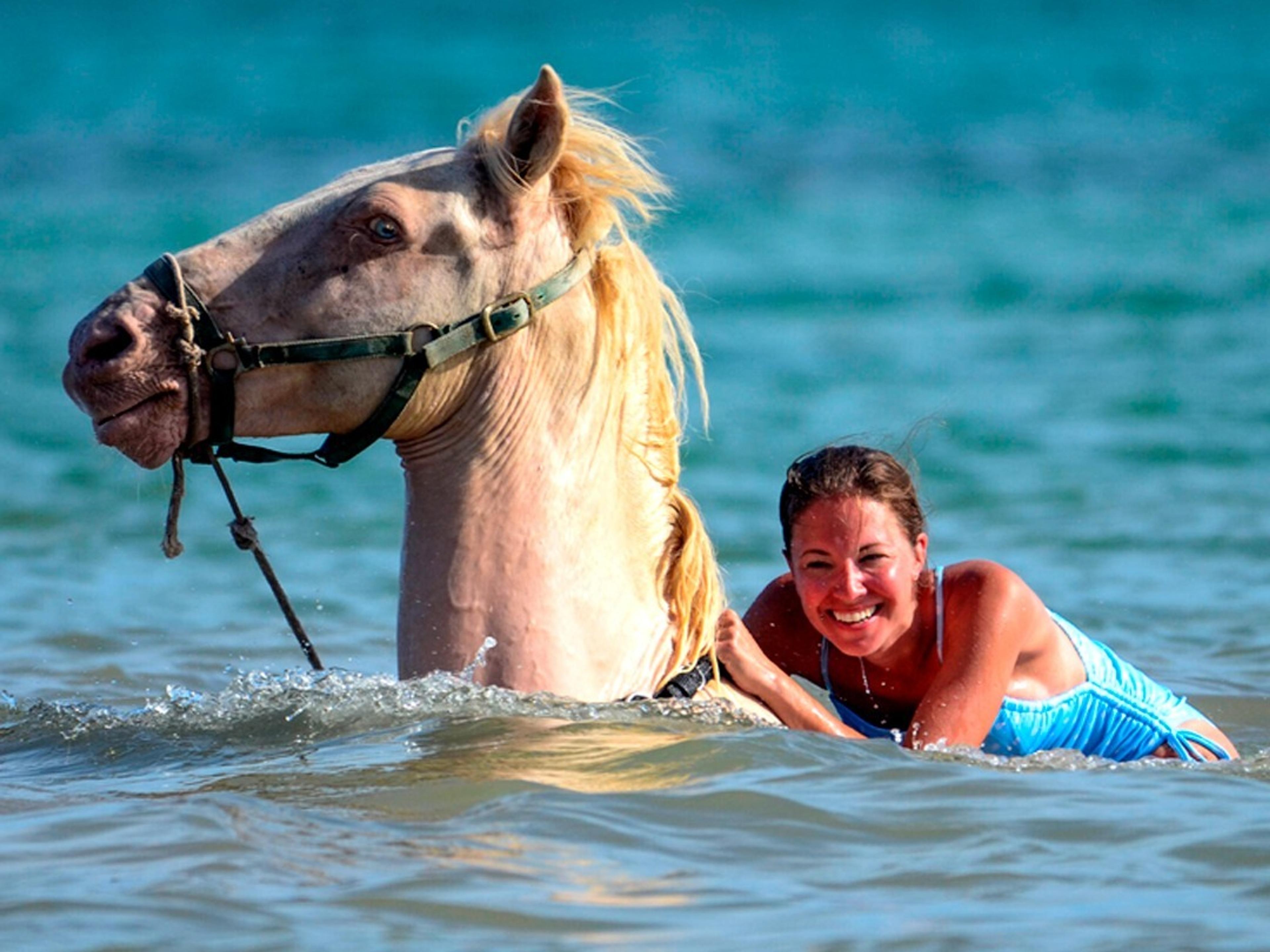Swim With Horses in Punta Cana — 1