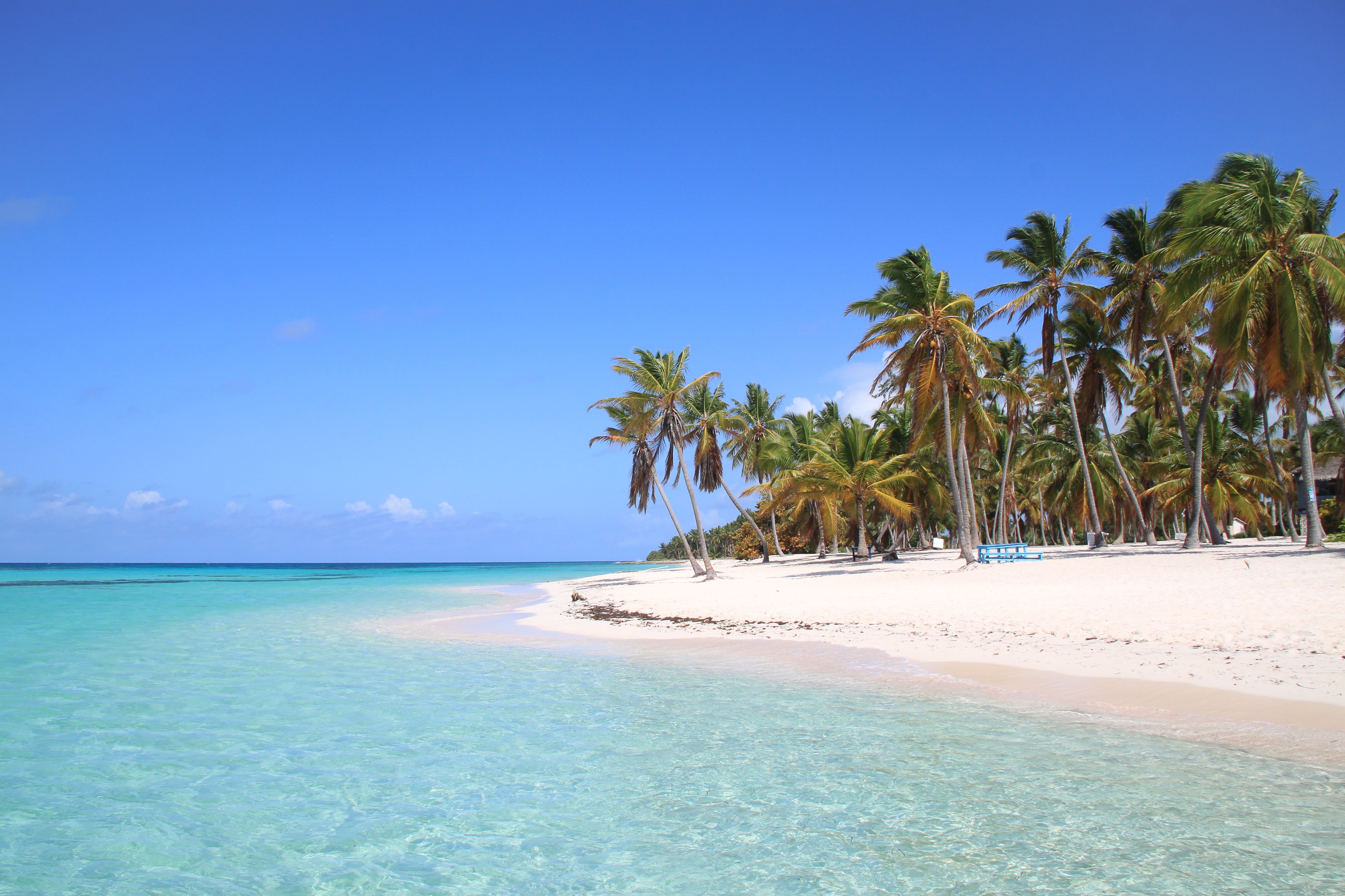 Saona Island Classic Tour — 3