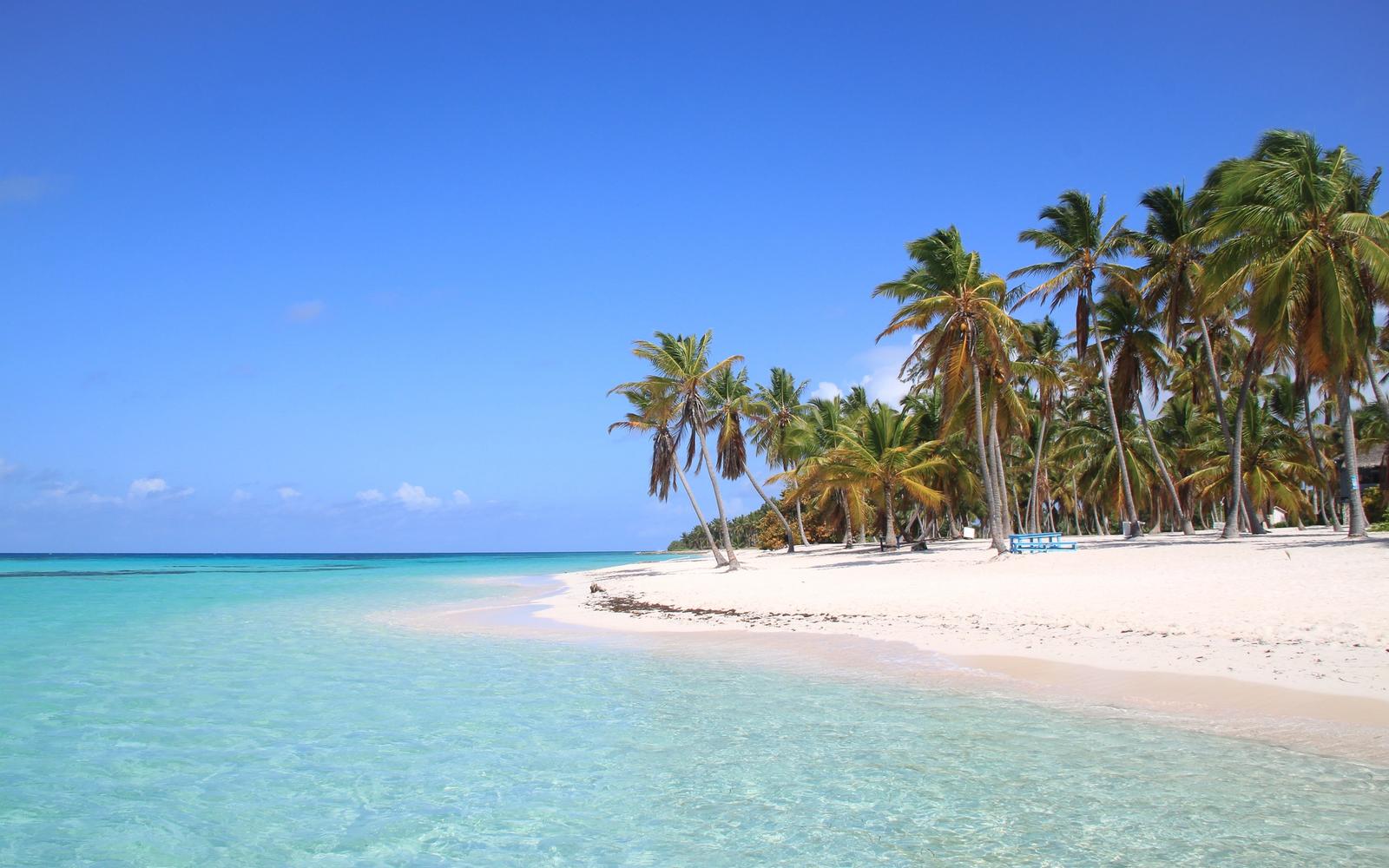 Tour Clásico a Isla Saona image 3