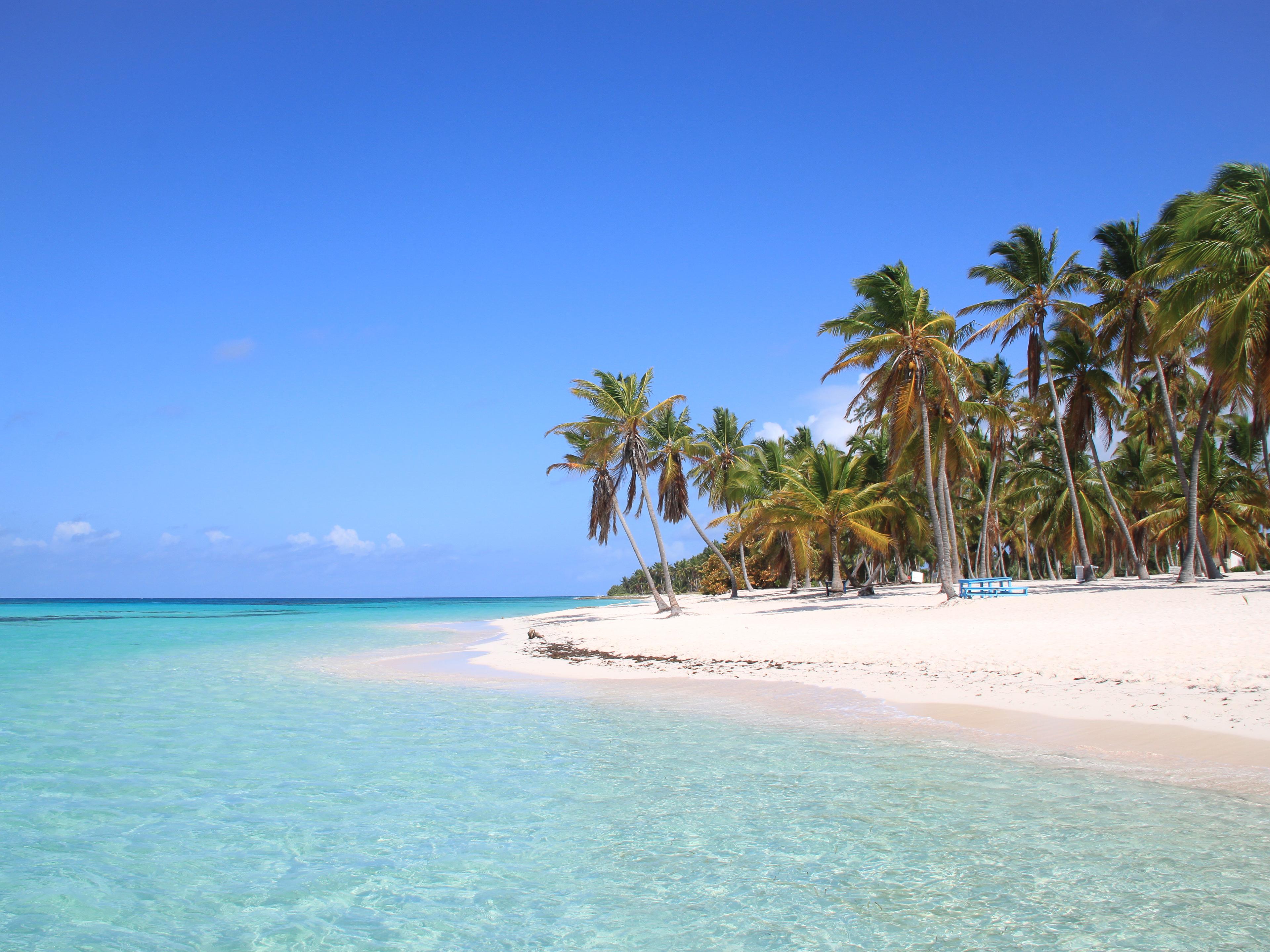 Saona Island Classic Tour — 3