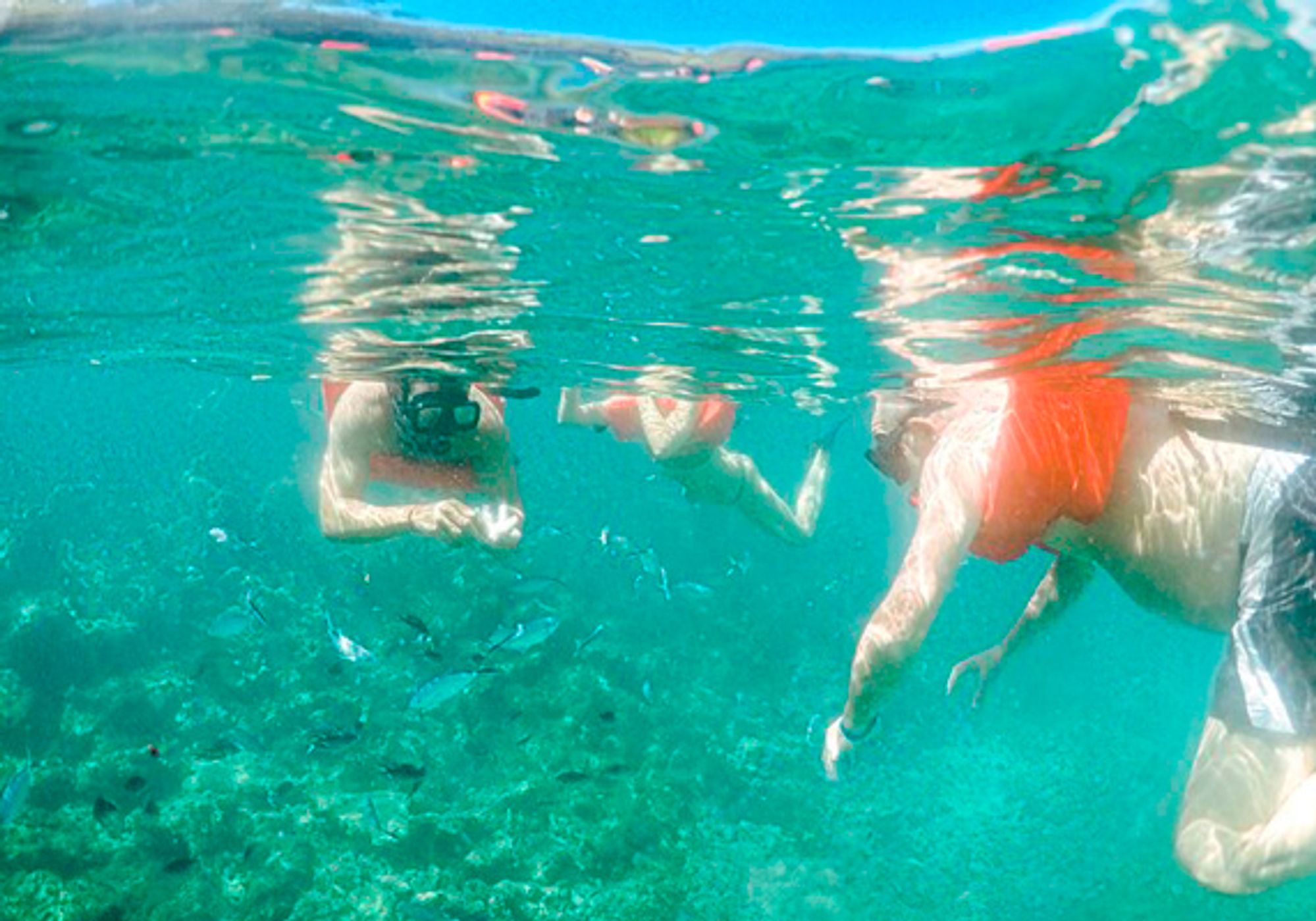 Catalina Island VIP Tour with Regular Lunch gallery 3