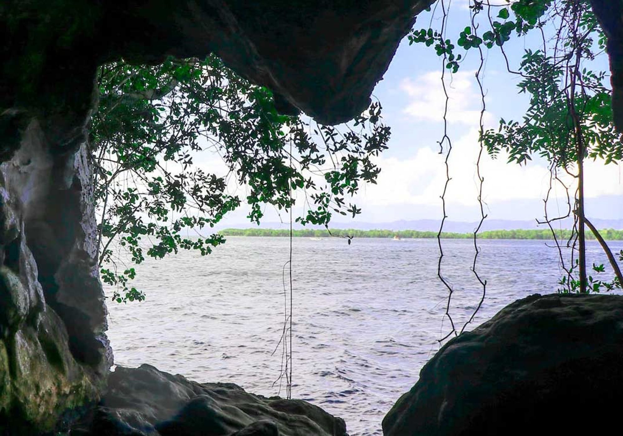 Los Haitises National Park & Montaña Redonda gallery 5