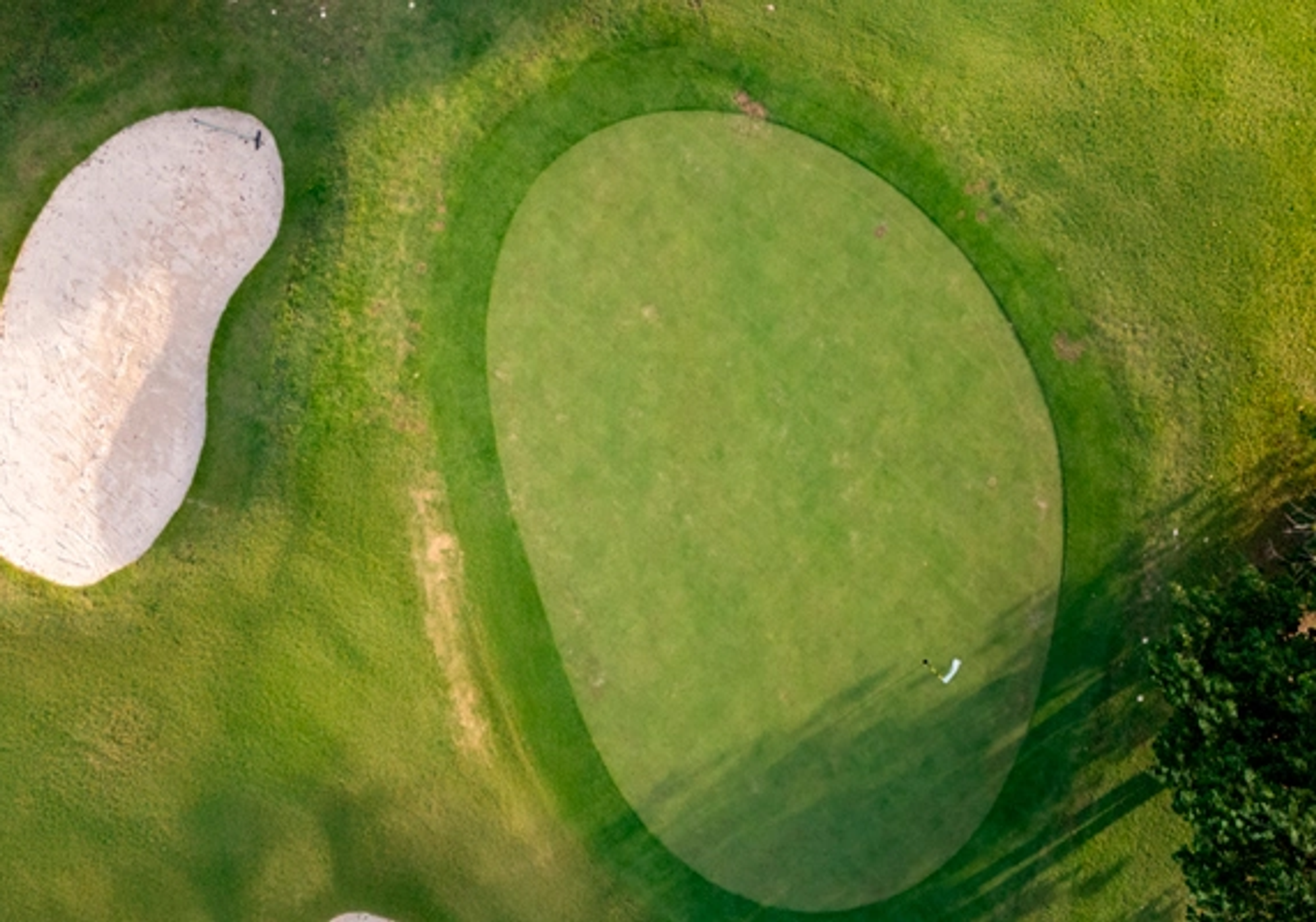 Vista Cana Golf Club gallery 2