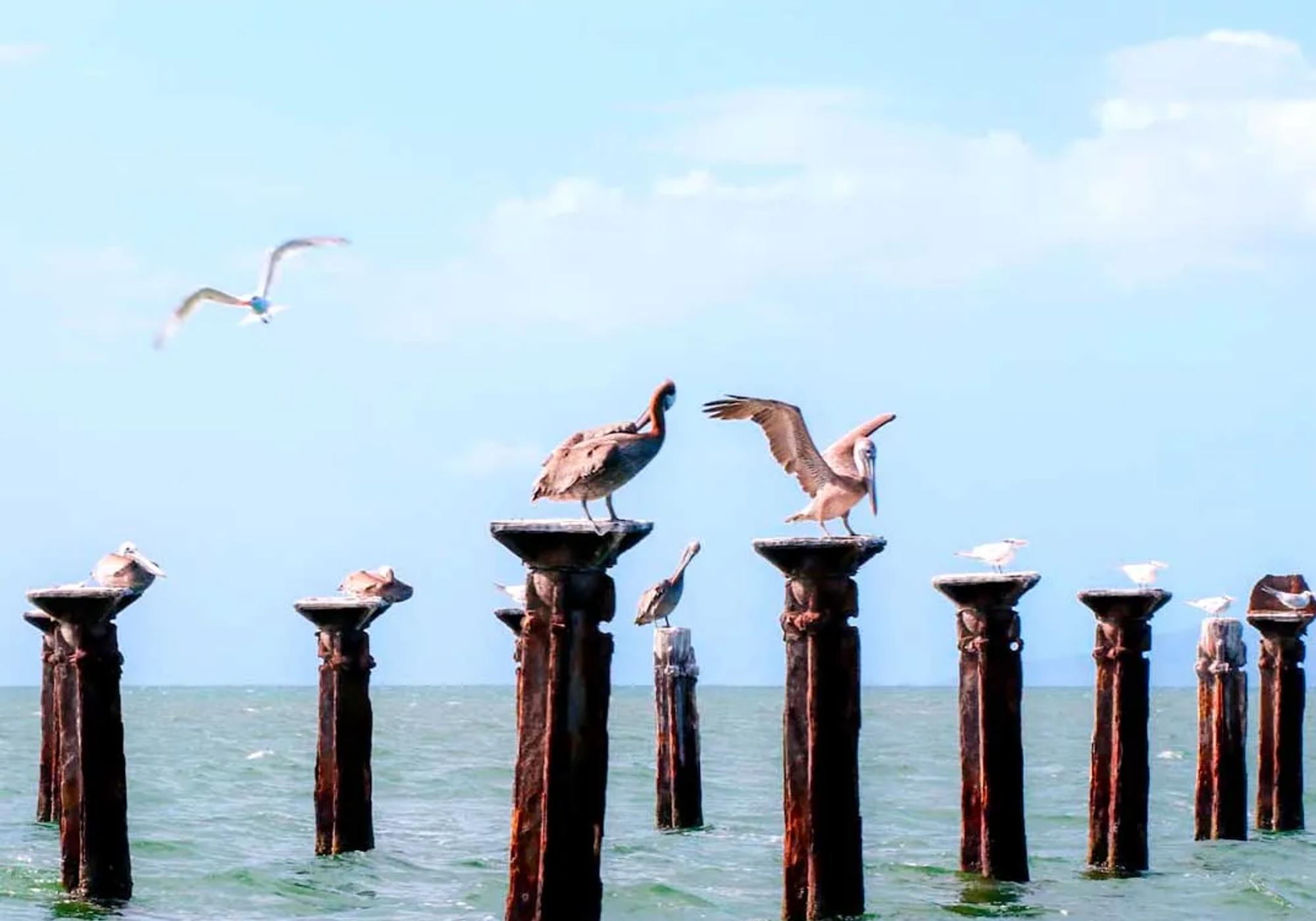 Los Haitises National Park & Montaña Redonda gallery 1