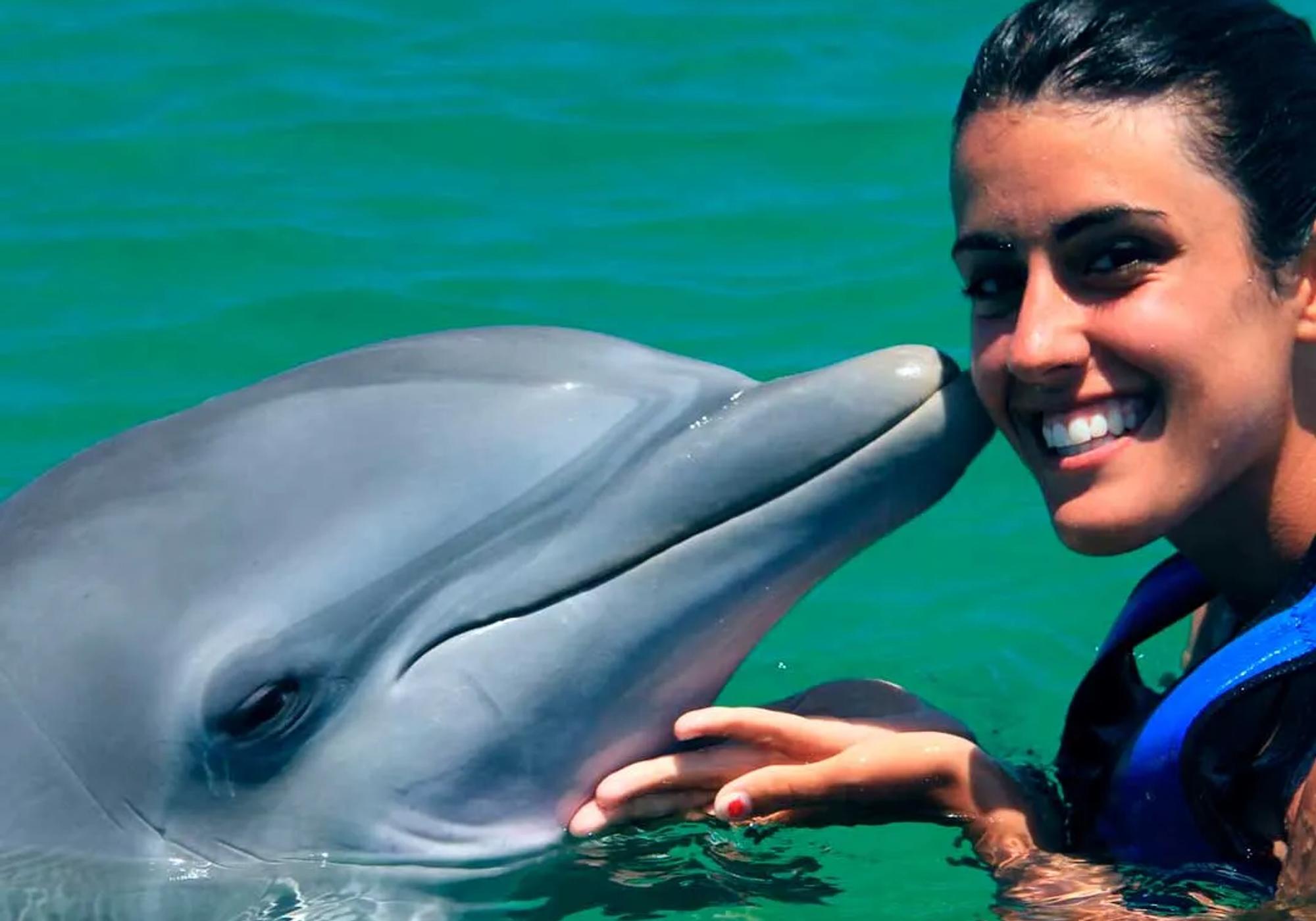 Swim with Dolphins Explorer gallery 5