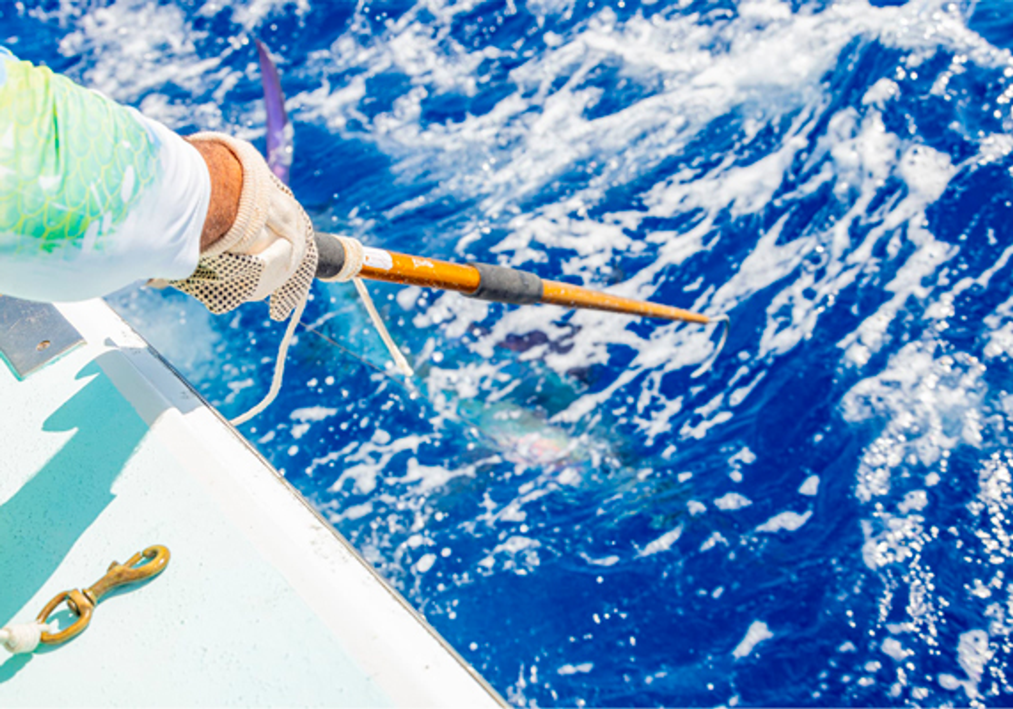 Family Inshore Fishing 36ft gallery 4