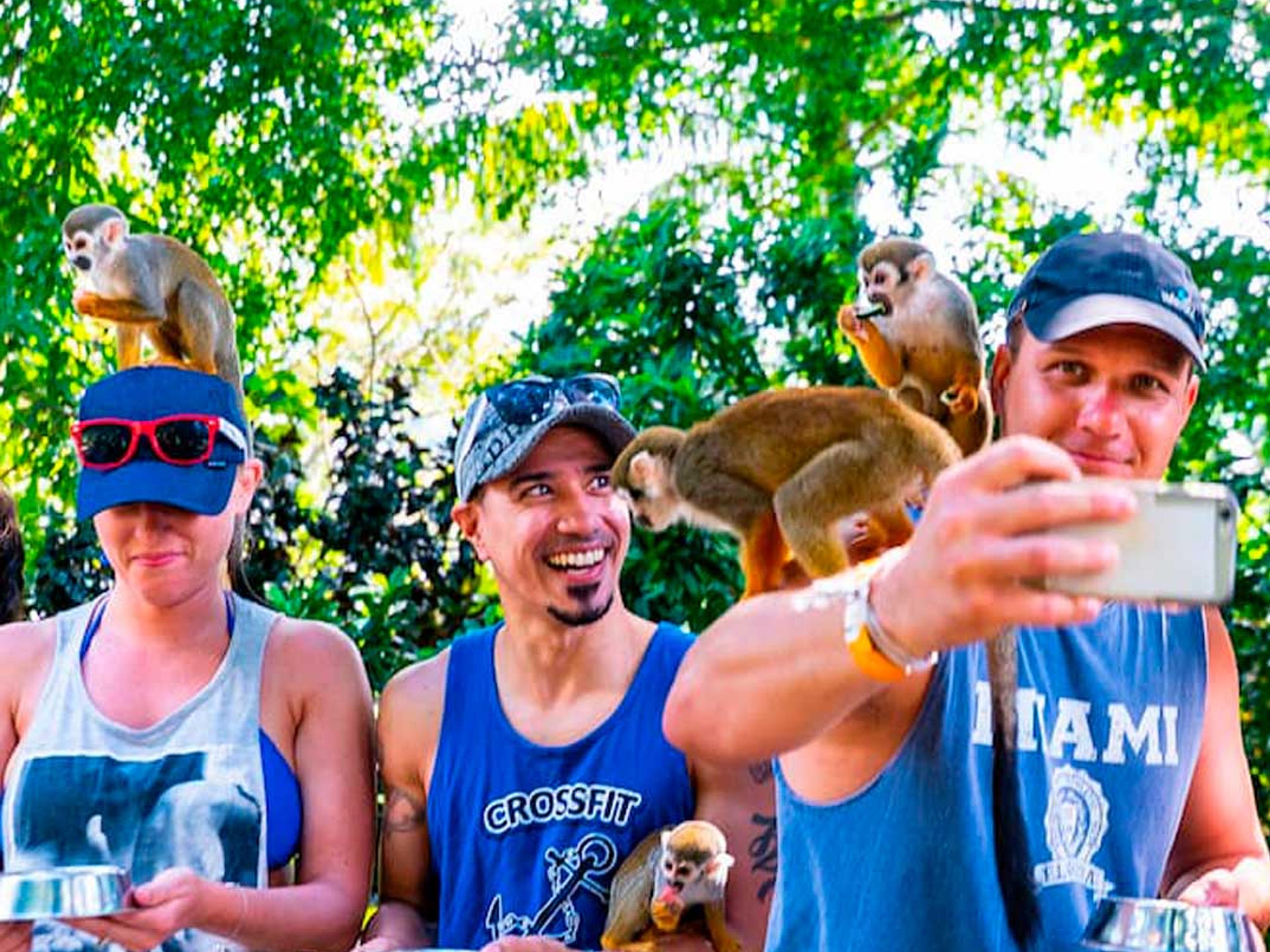 Monkeyland Safari Punta Cana — 1
