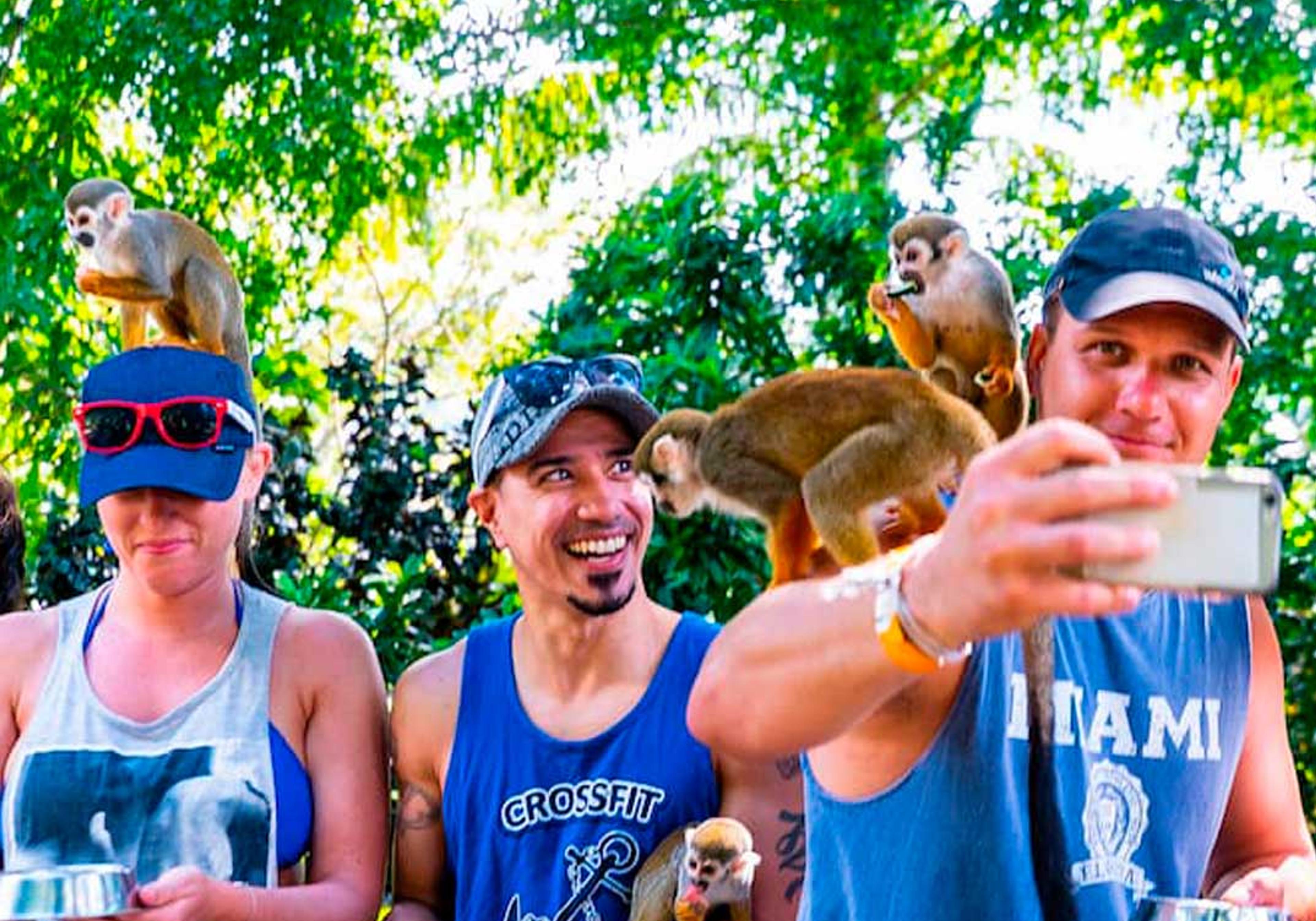 Monkeyland Safari Punta Cana — 1
