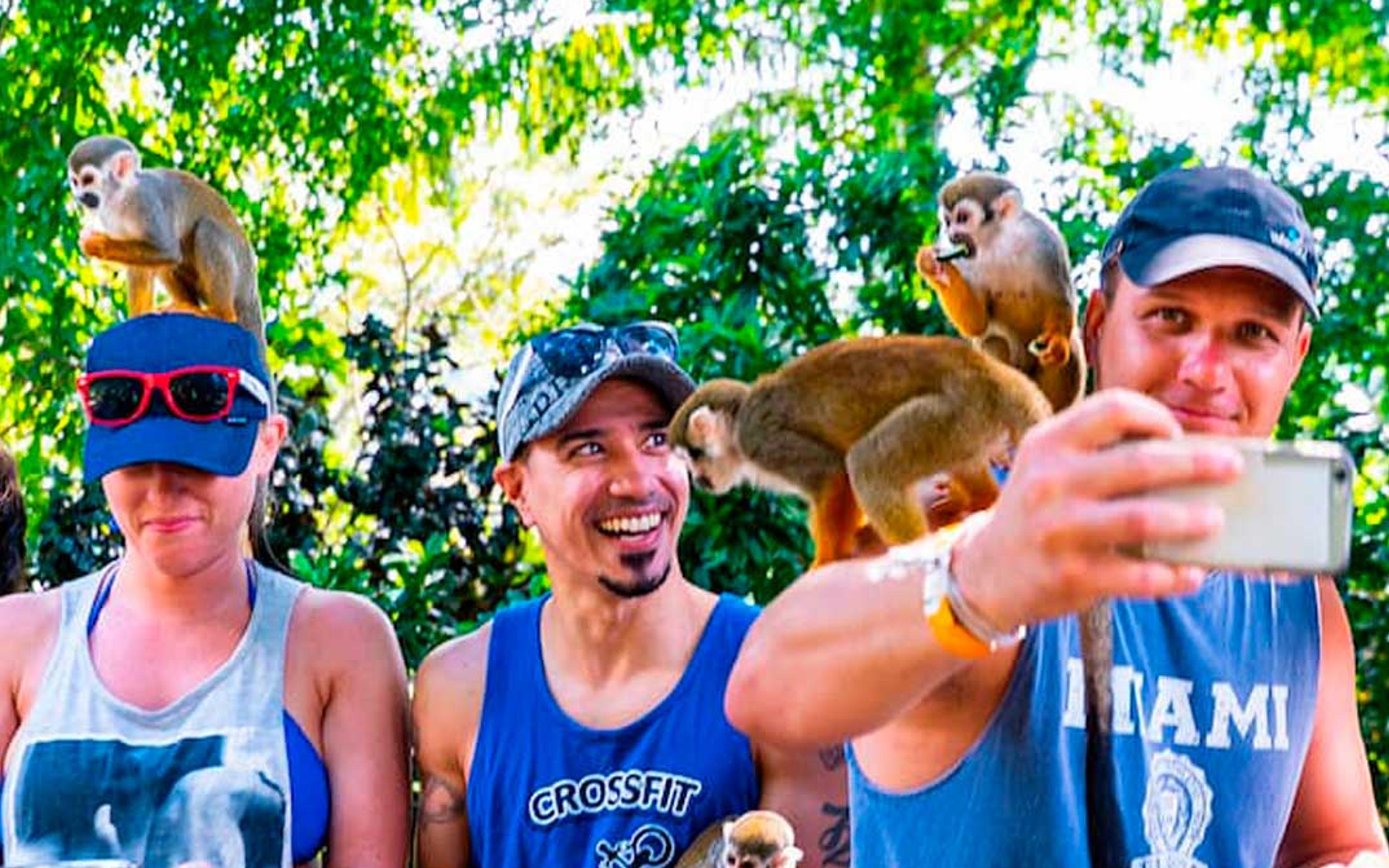 Monkeyland Safari Punta Cana — 1