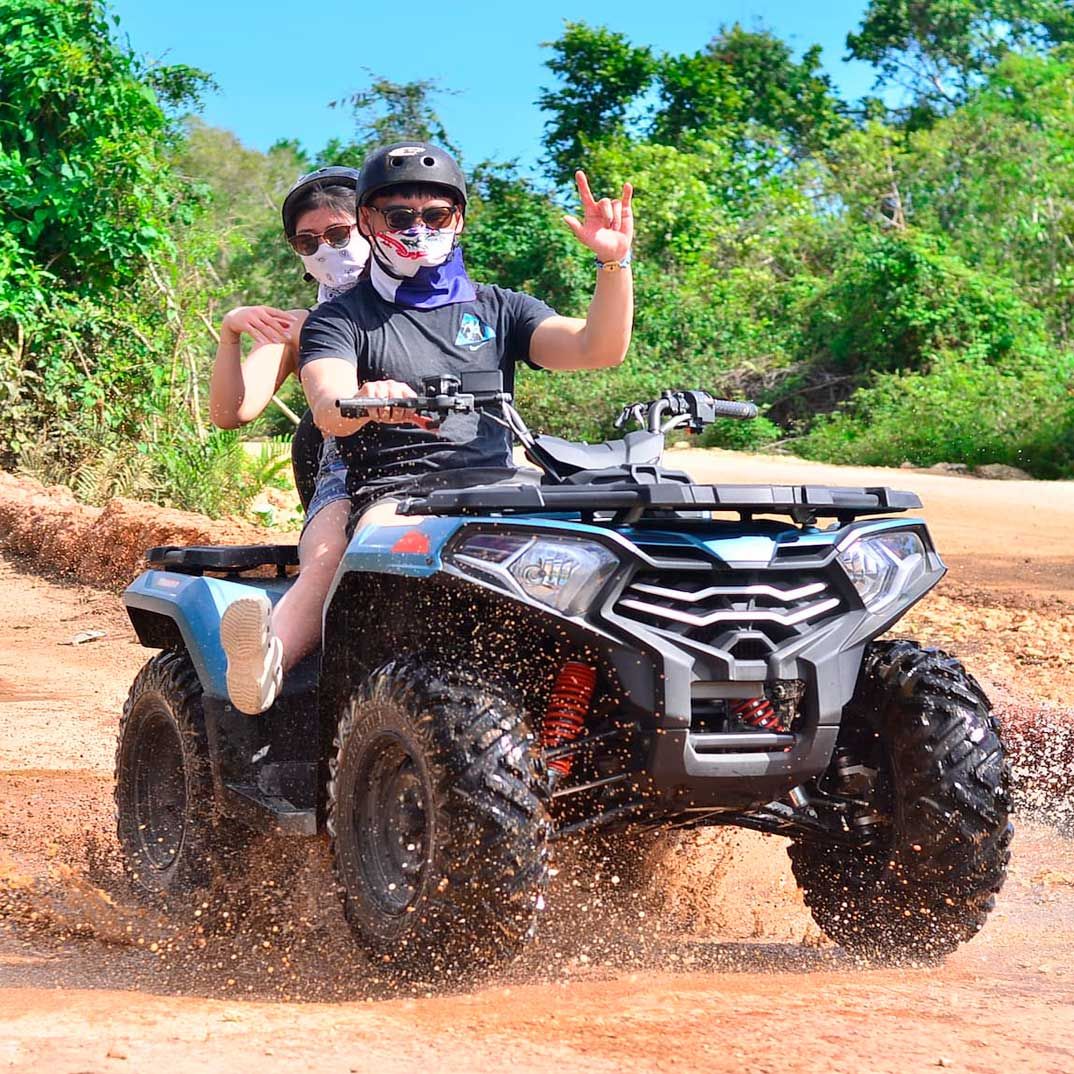 Land Tours