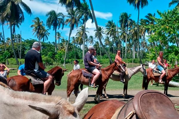 Montaña Redonda + Horse Back Riding — 2