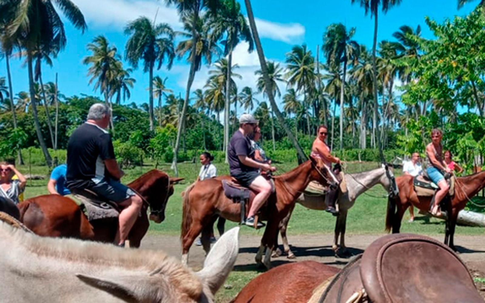 Montaña Redonda + Horse Back Riding image 2