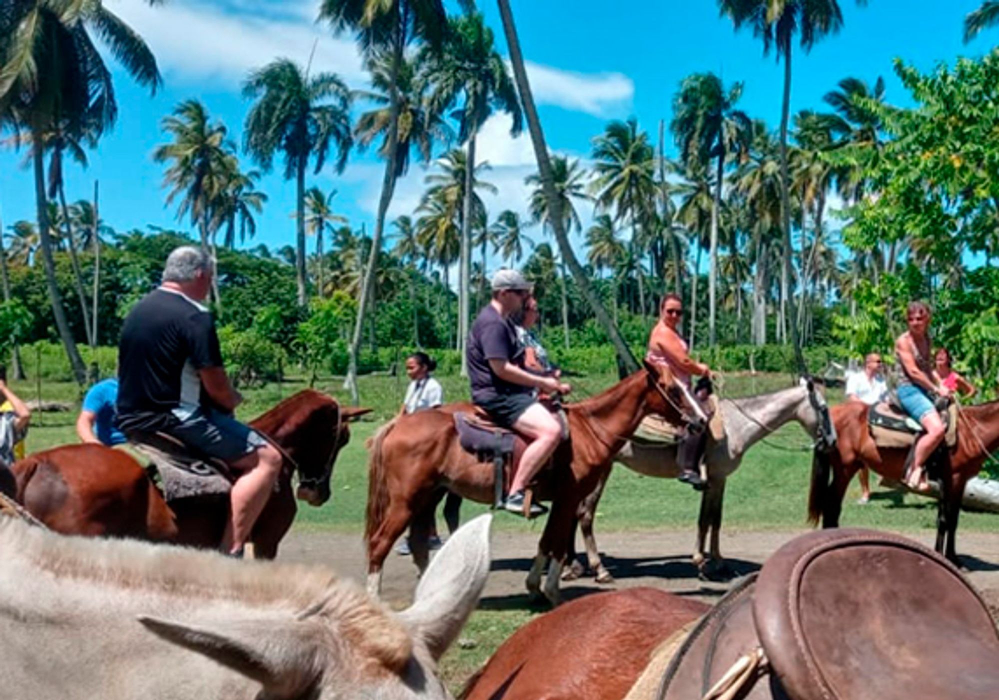 Montaña Redonda + Horse Back Riding gallery 2
