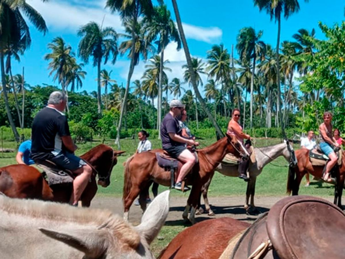 Montaña Redonda + Horse Back Riding image 2