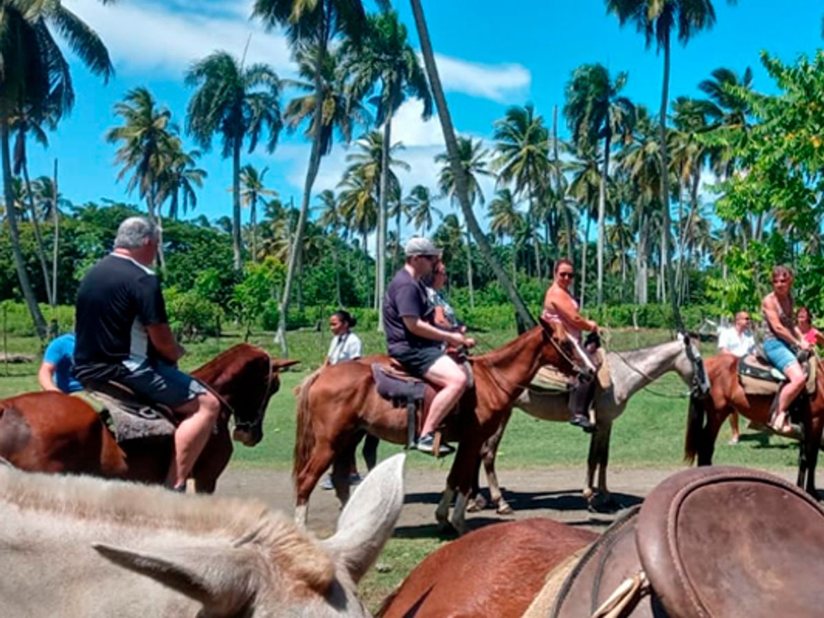 Montaña Redonda + Horse Back Riding image 2