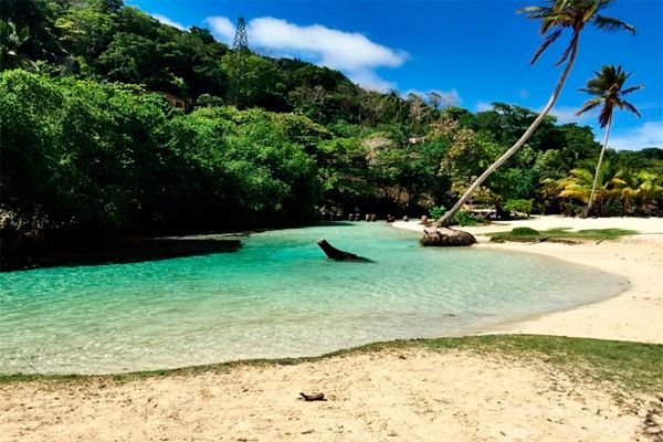Full Day Tour in Samana Serenity — 4