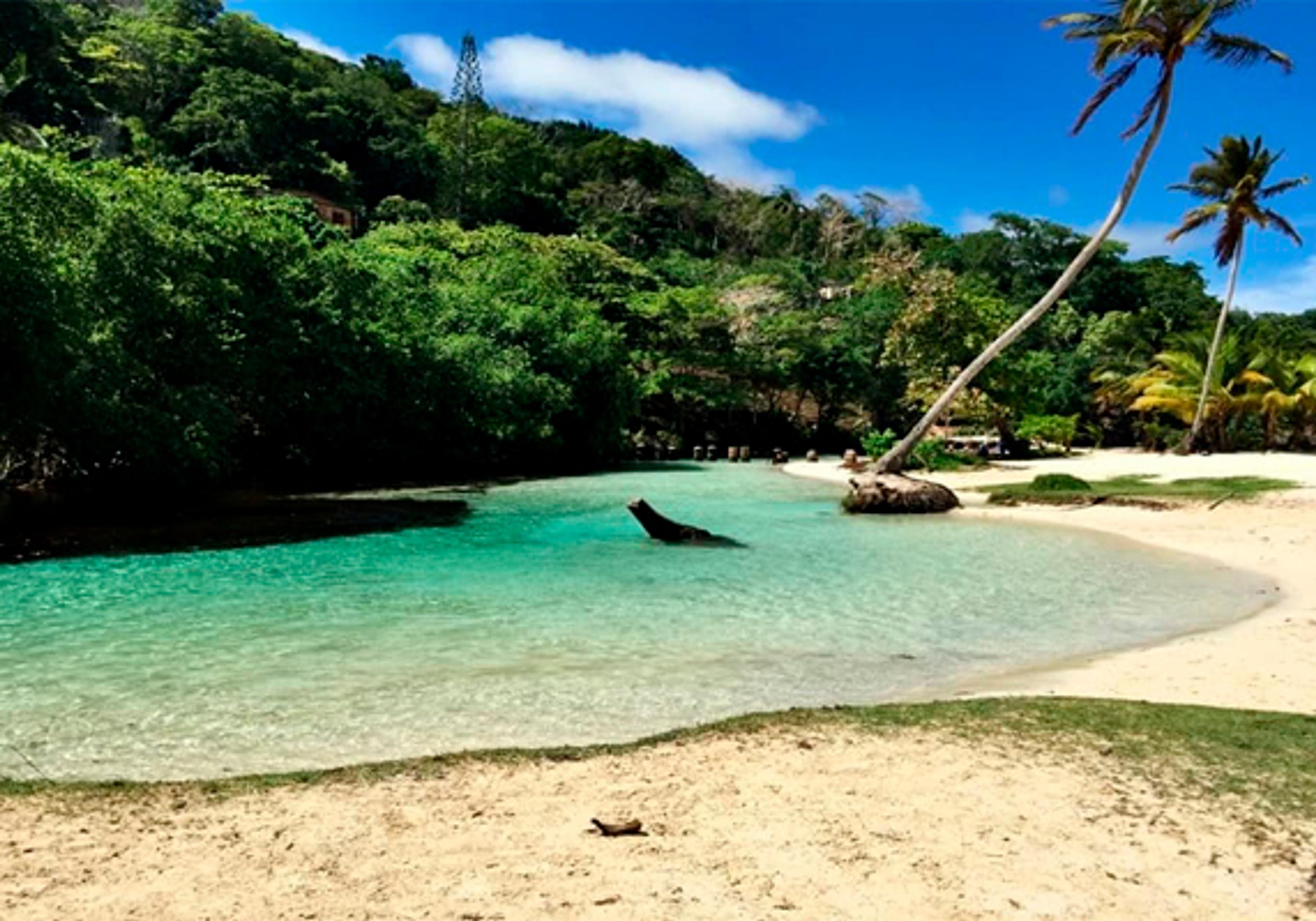 Full Day Tour in Samana Serenity — 4