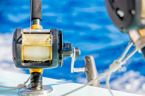 Family Inshore Fishing 22ft — 4