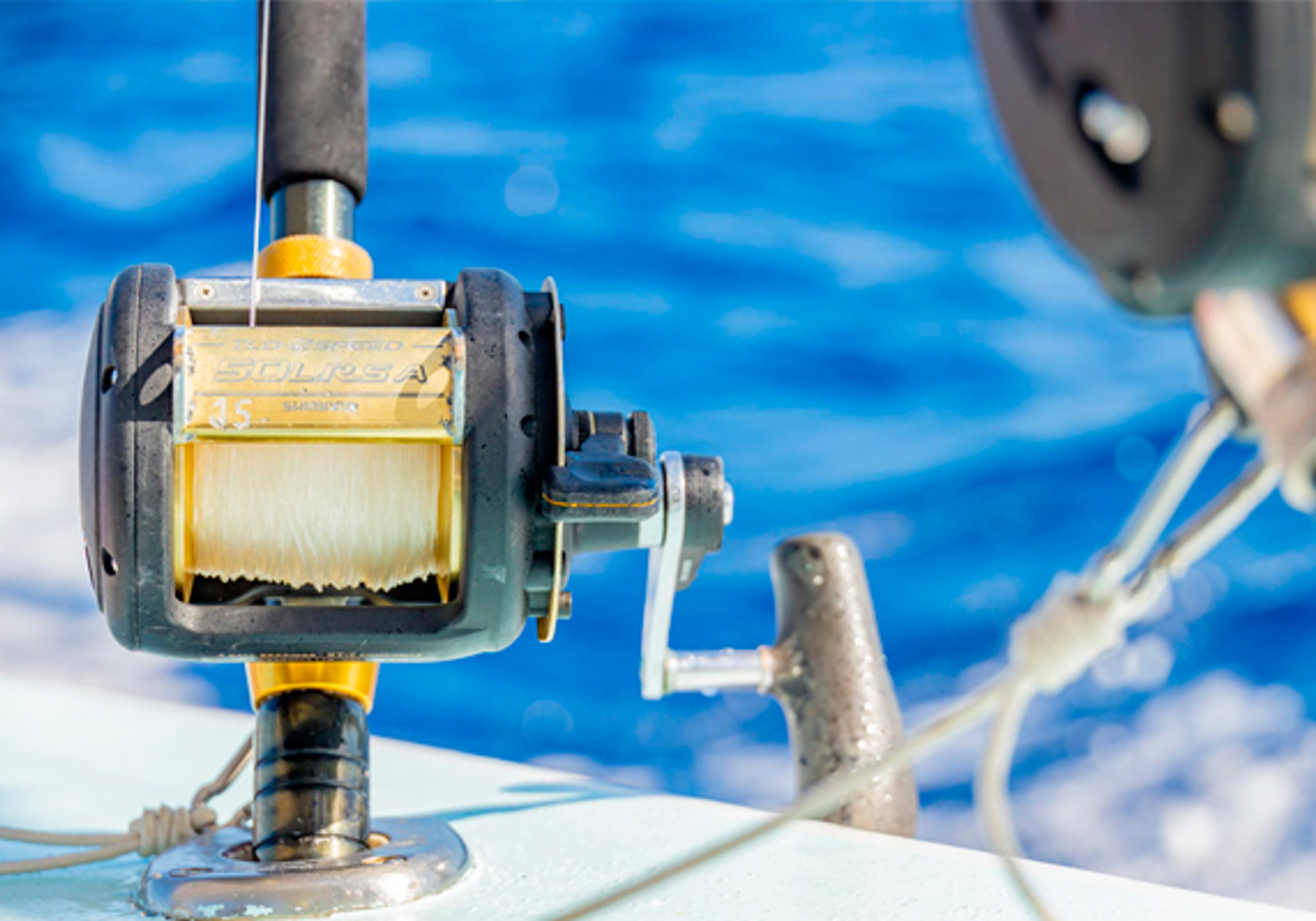 Family Inshore Fishing 22ft gallery 4
