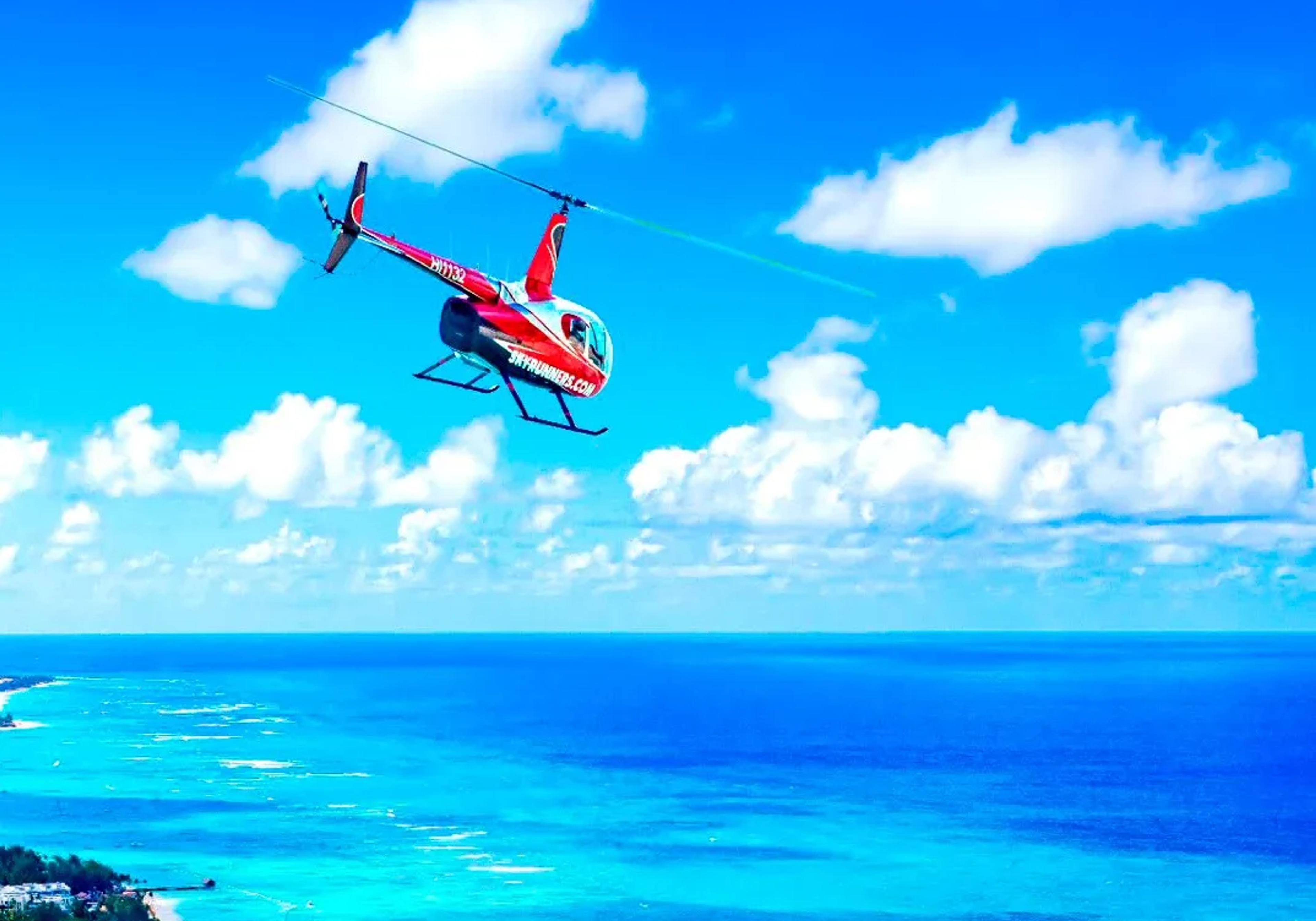 Punta Cana Helicopter Ride & Golf Simulator Experience — 4