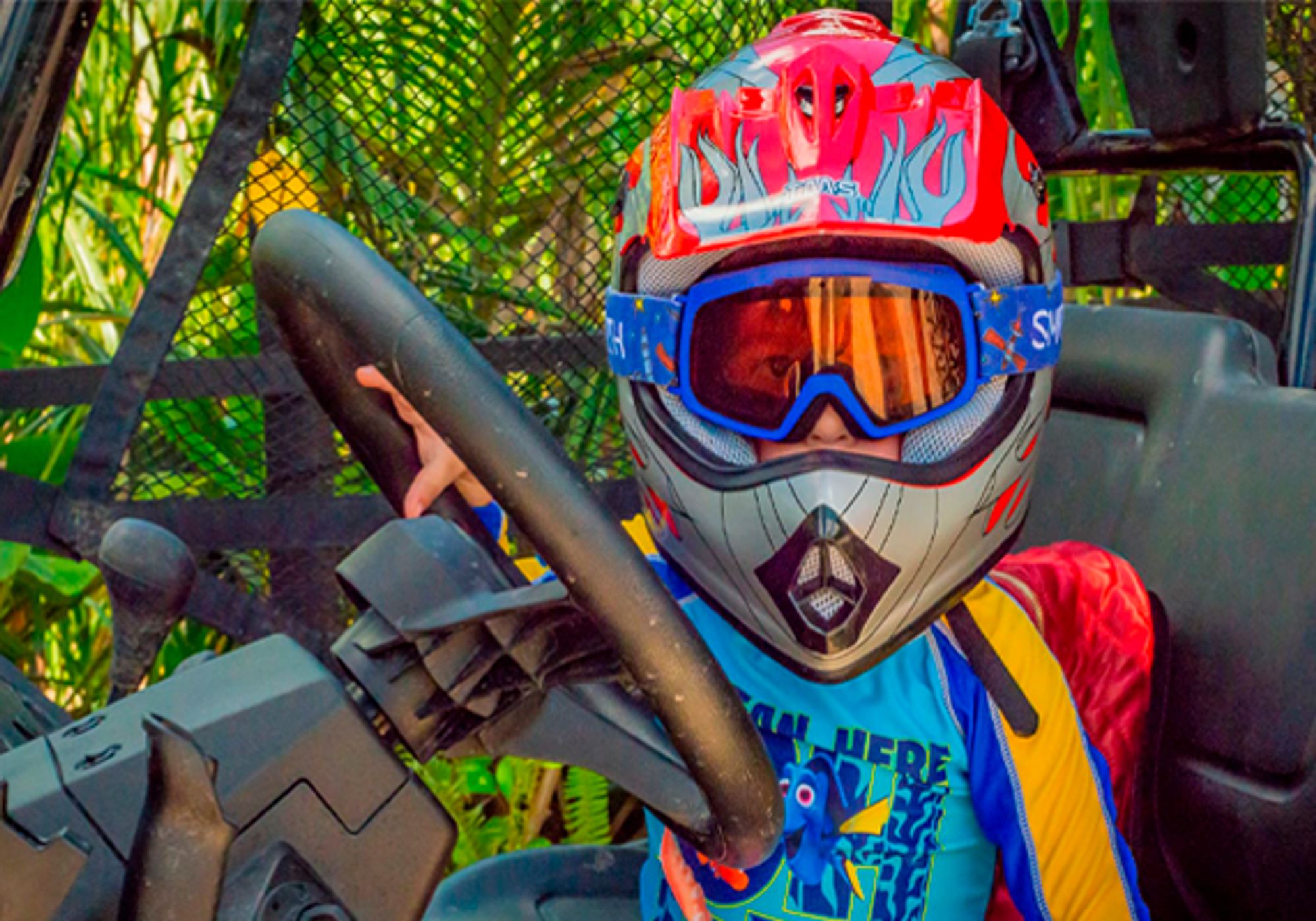 Ultimate Buggies & Monkeys gallery 1
