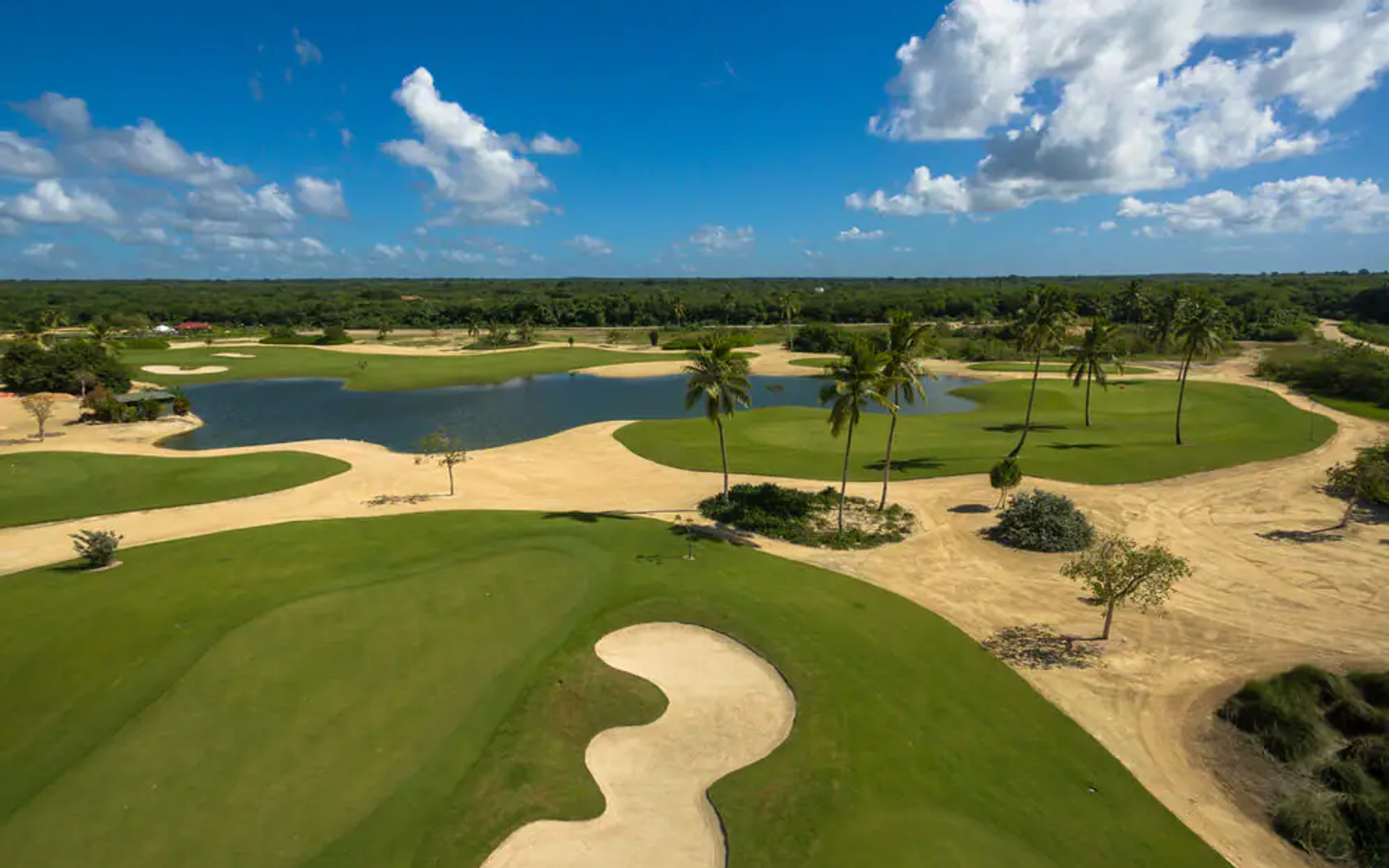 PGA Ocean's 4 Golf β La Romana image 3