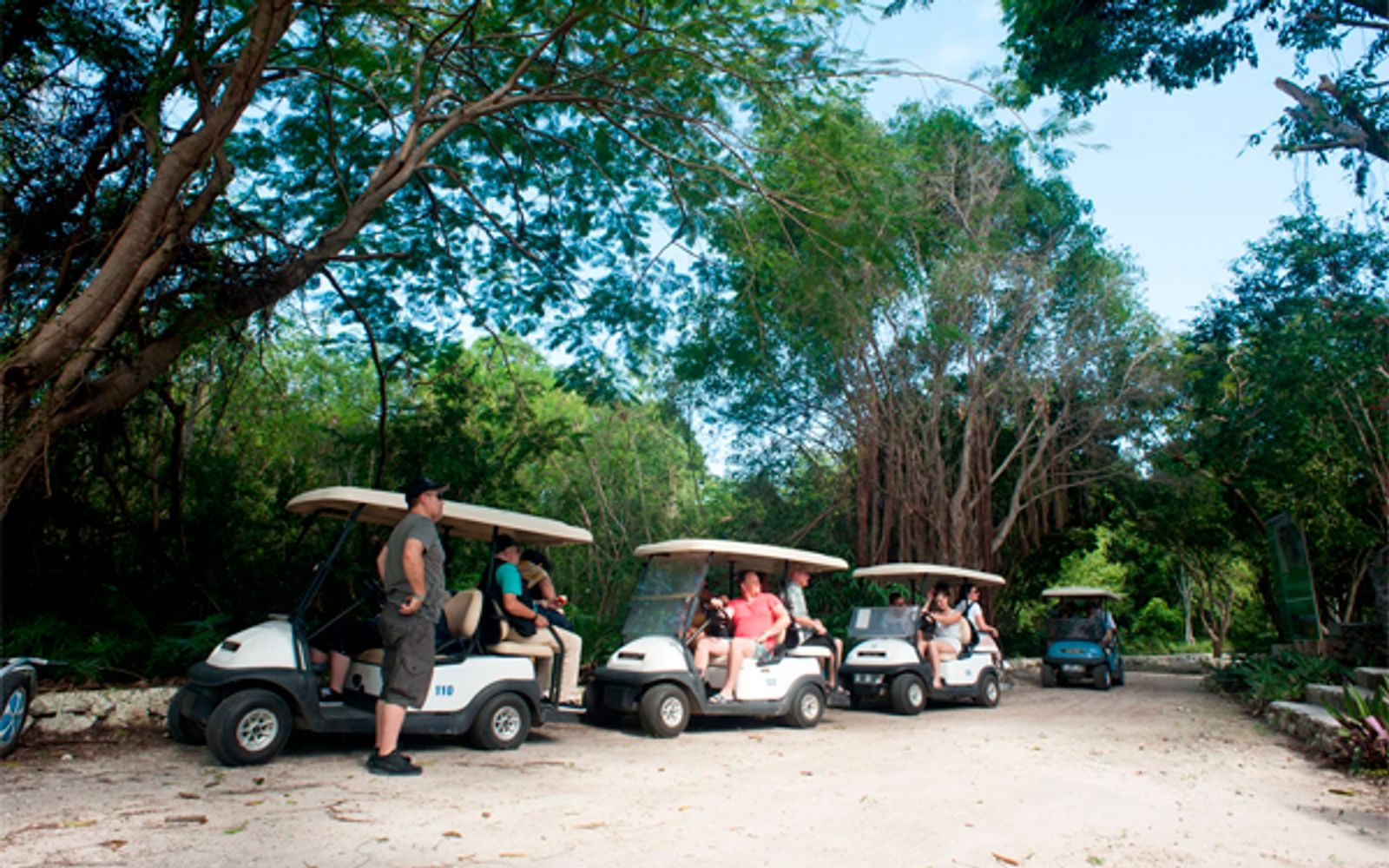 Eco Tour Finder Combo image 2
