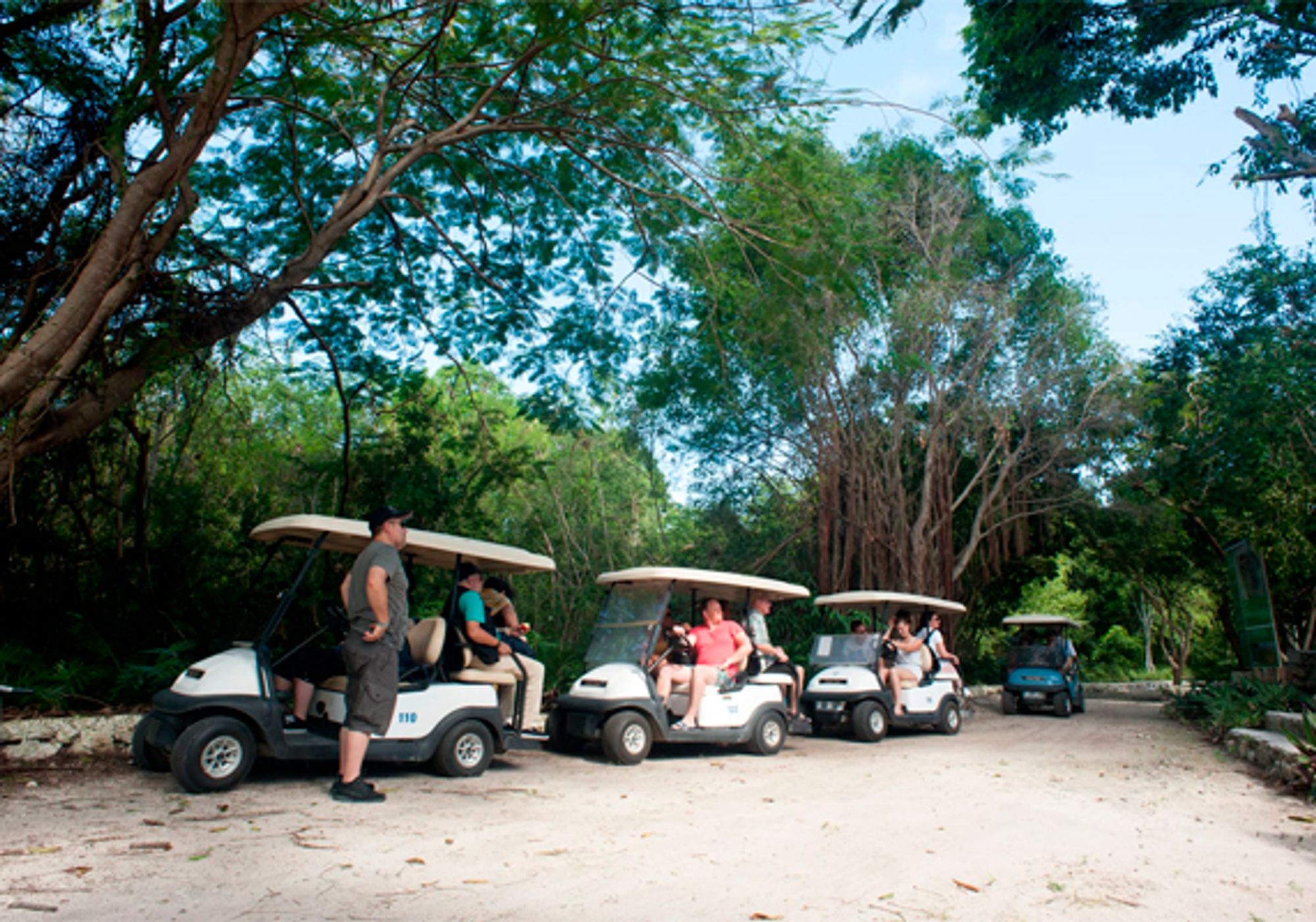 Eco Tour Finder Combo gallery 2
