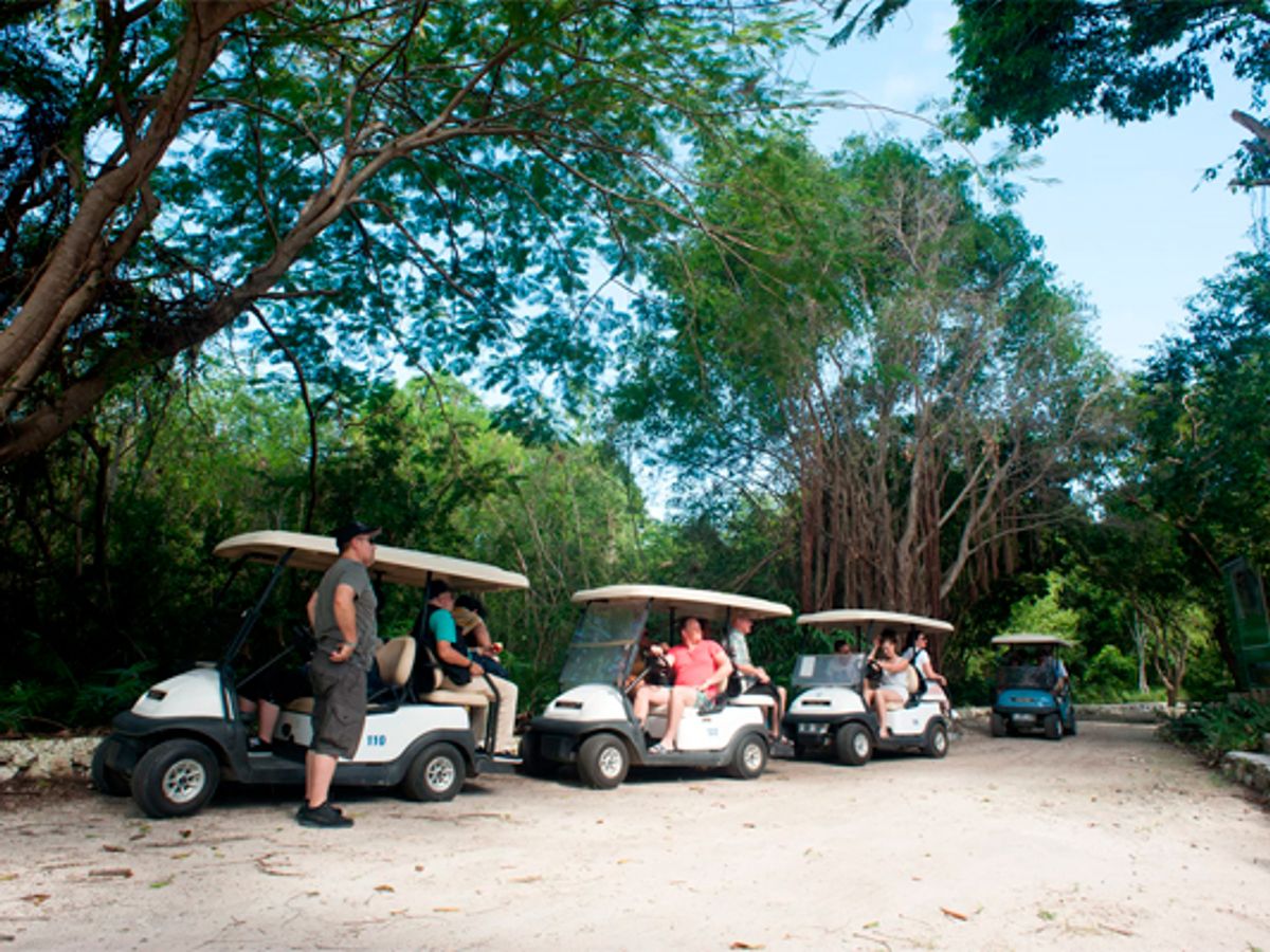 Eco Tour Finder Combo image 2