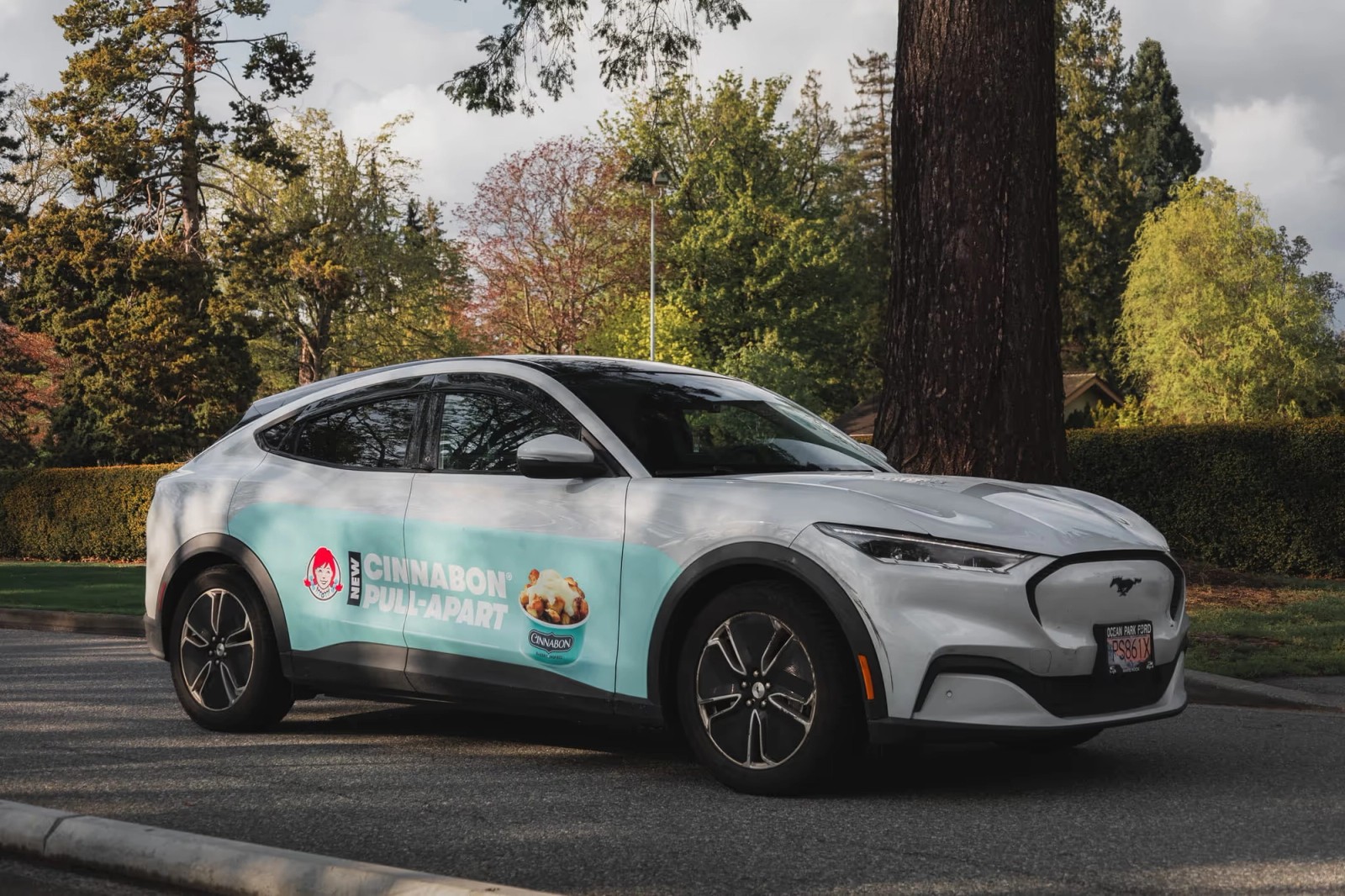 Wendy's Cinnabon Pull-Aparts campaign photo