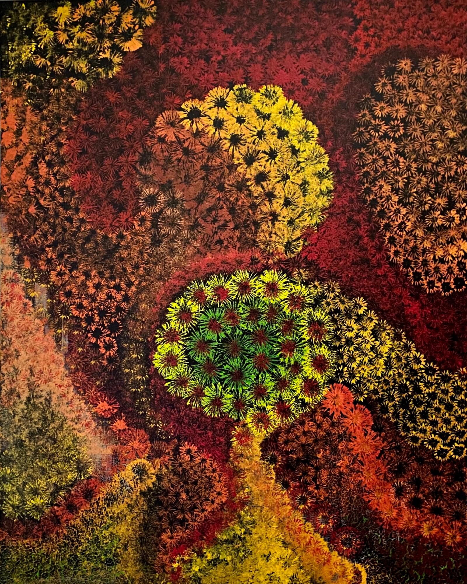 Desert Bloom 18