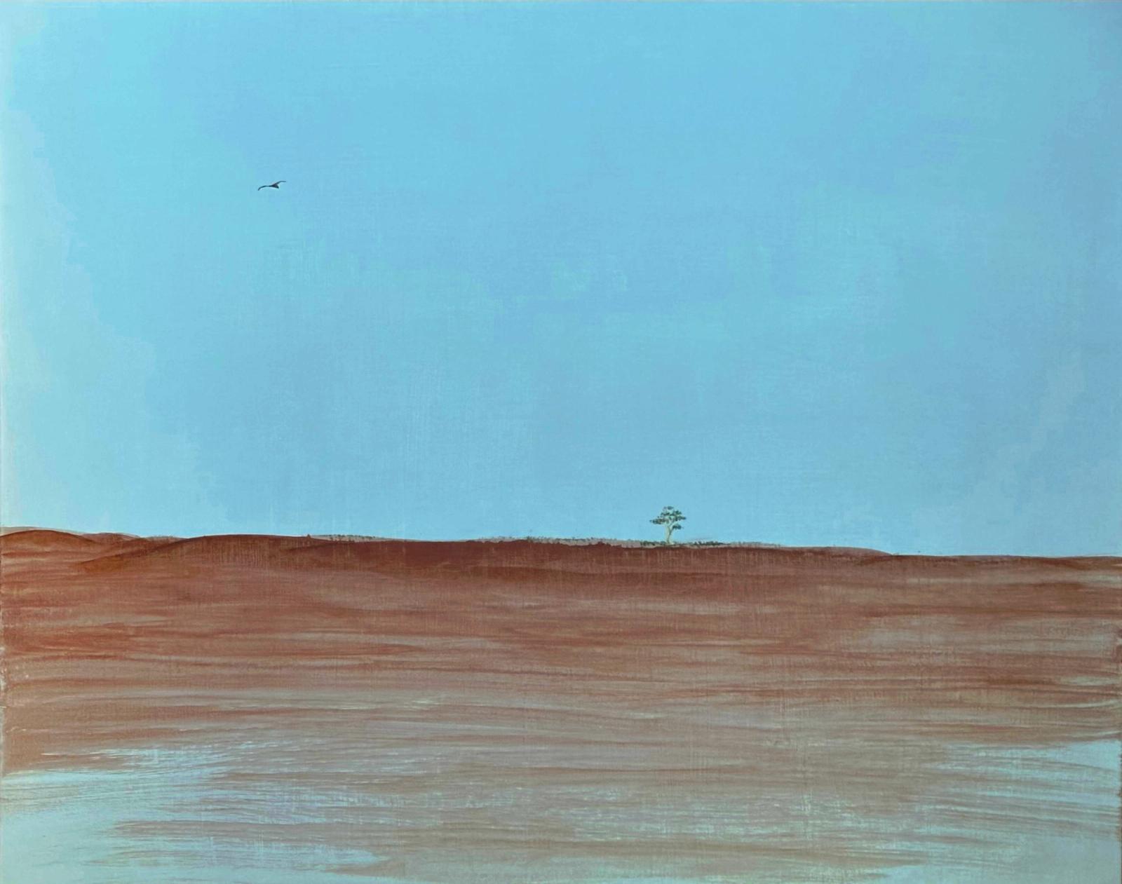 Representation of landscapes of Central Australia seen from afar