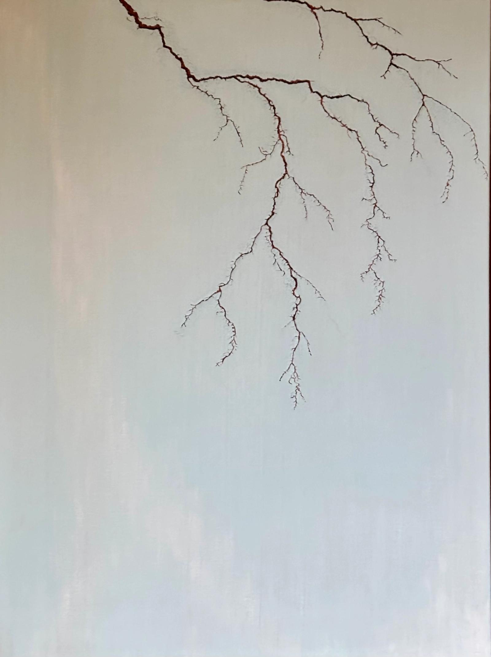 Limb 1
