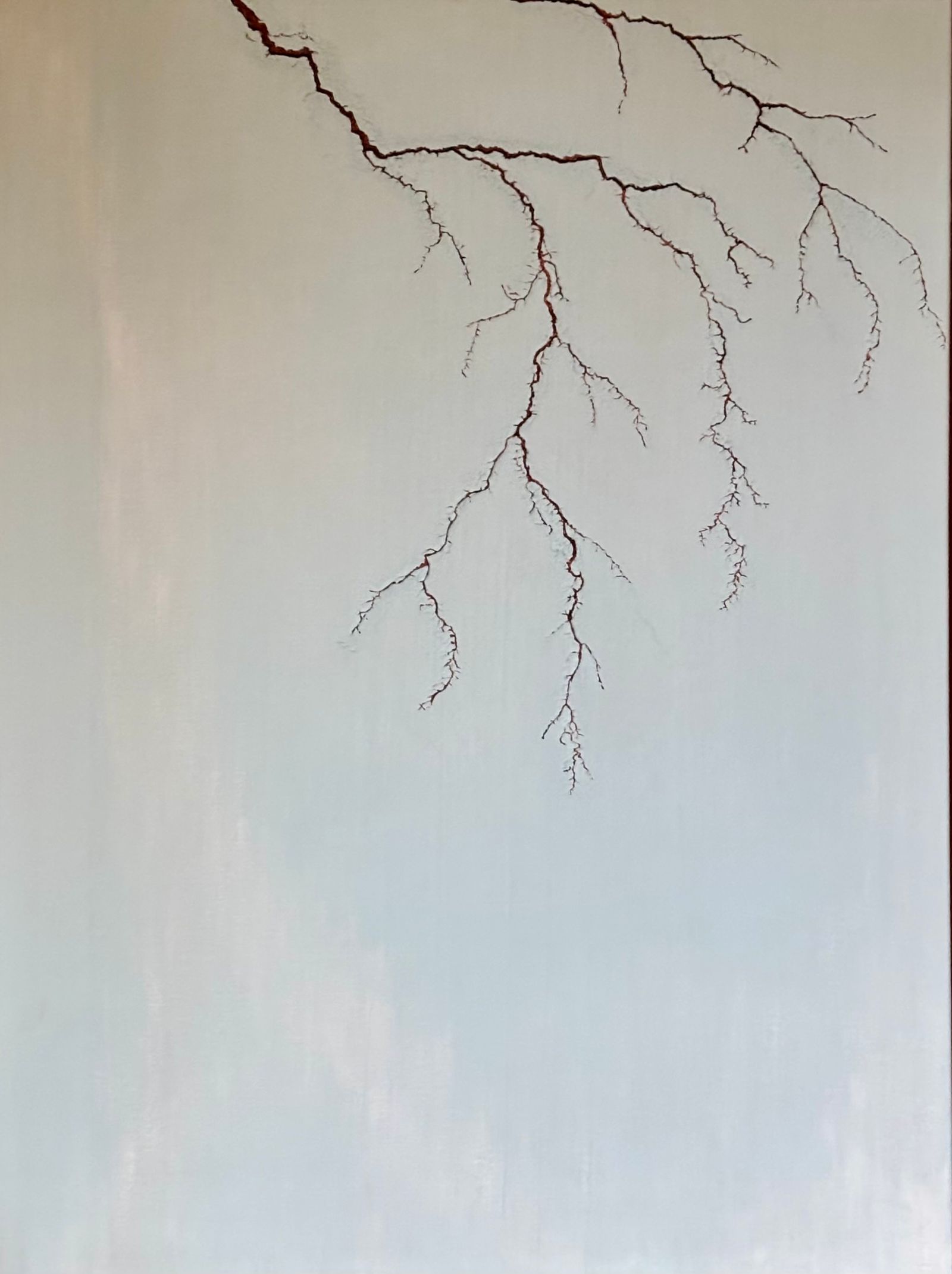 Limb 1